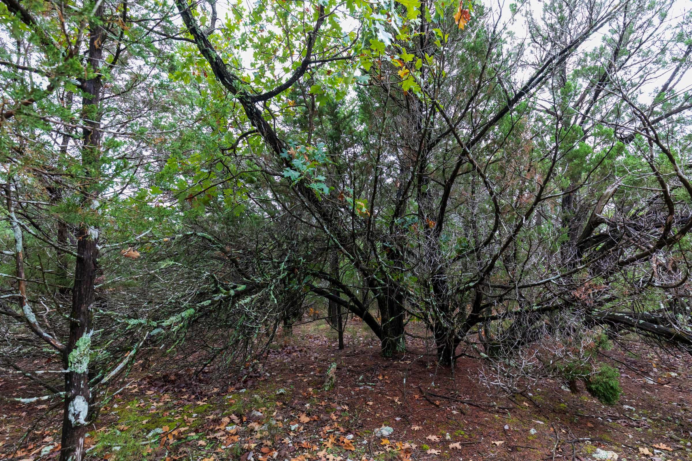 Heritage Bend Tract 43 photo 13