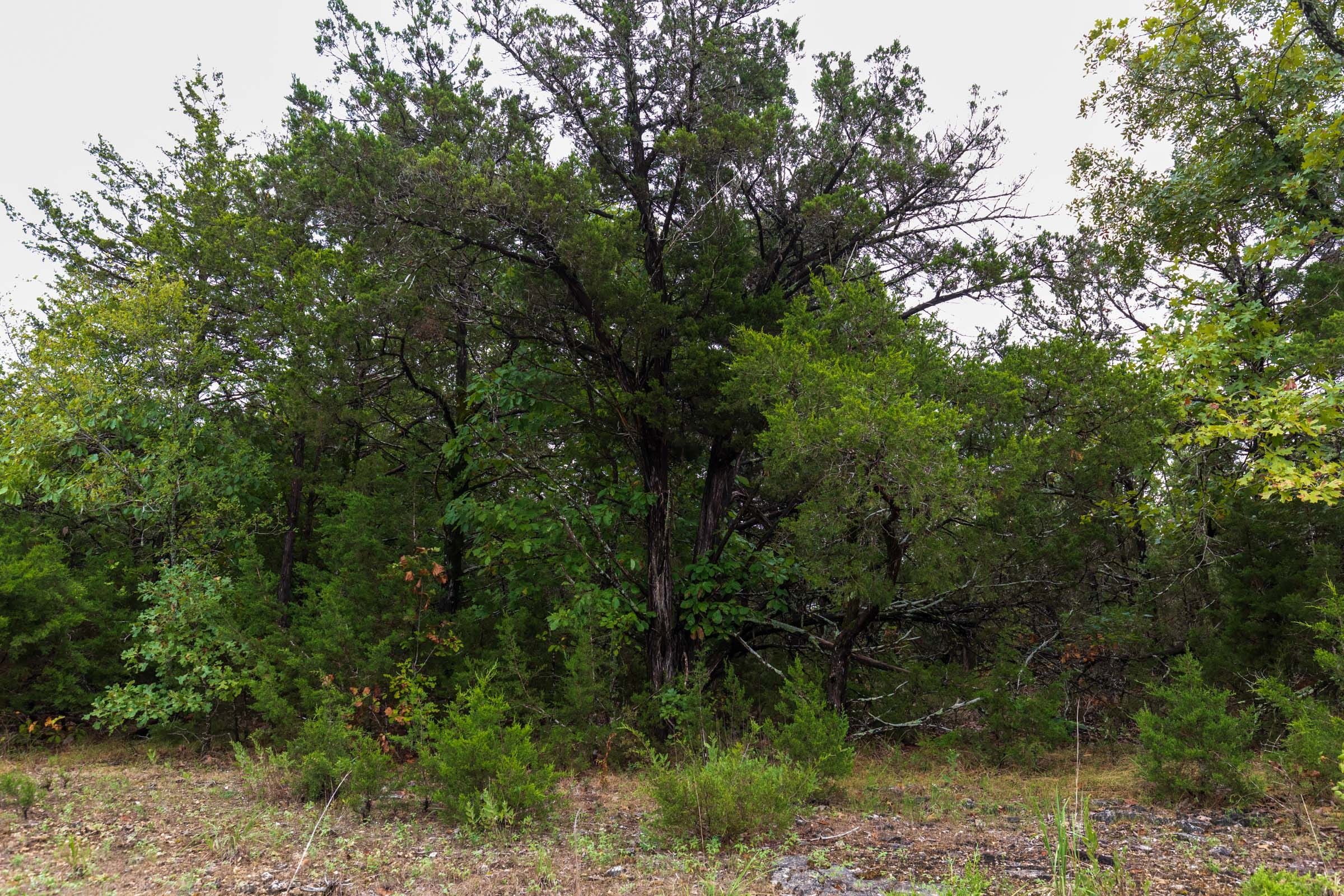Heritage Bend Tract 43 photo 12