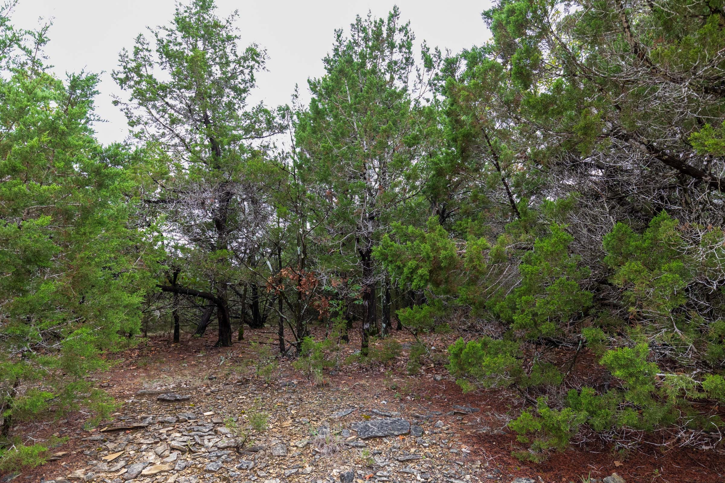 Heritage Bend Tract 43 photo 15