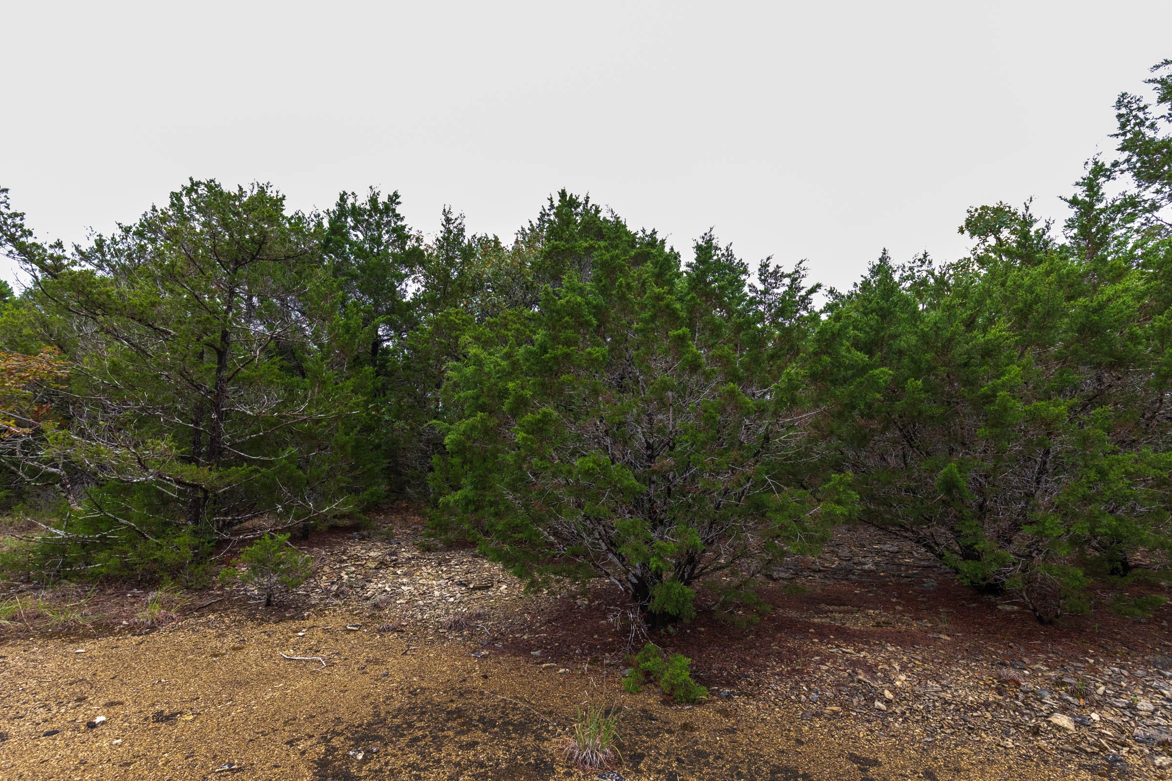 Heritage Bend Tract 43 photo 14
