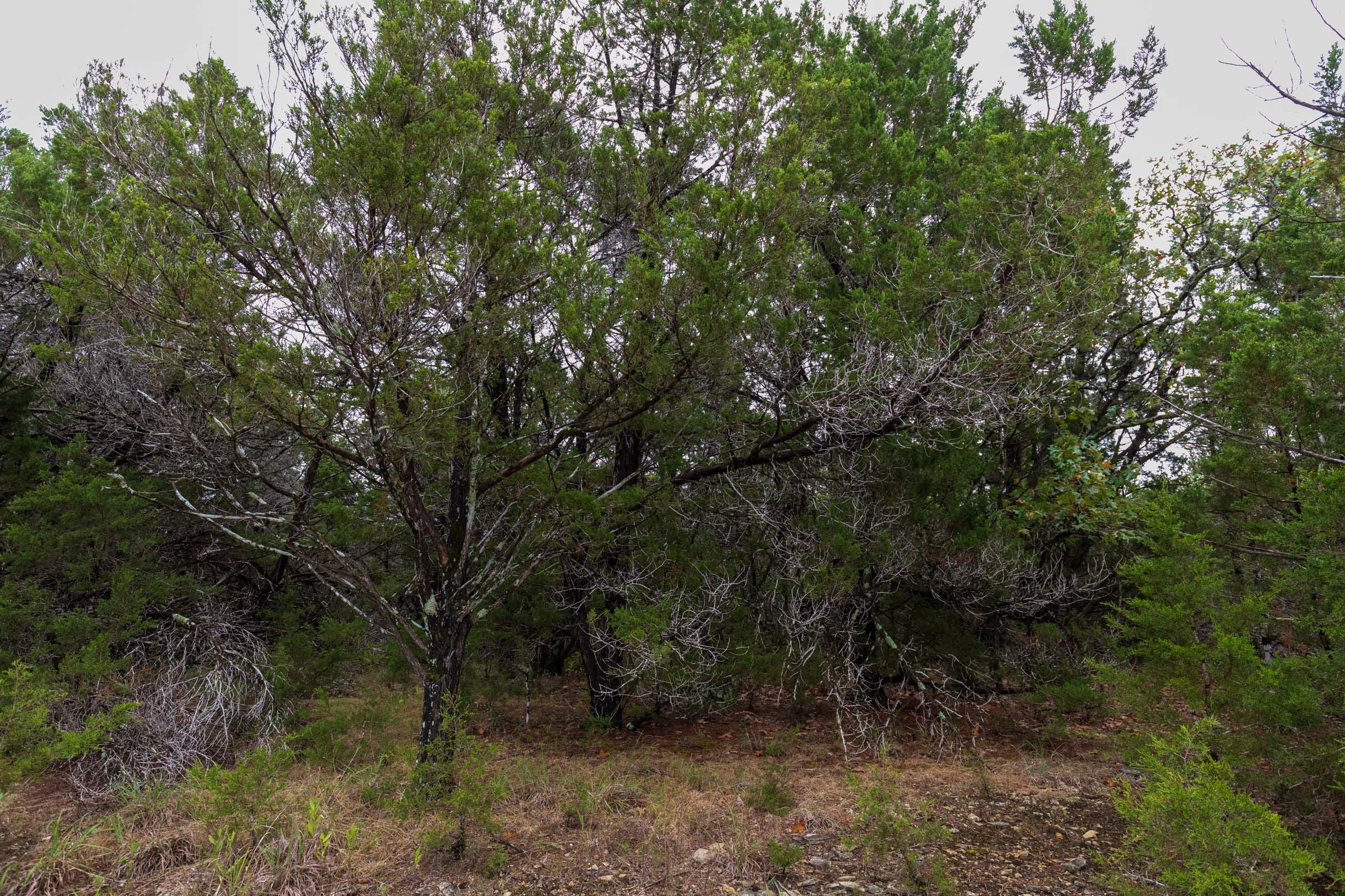 Heritage Bend Tract 43 photo 16