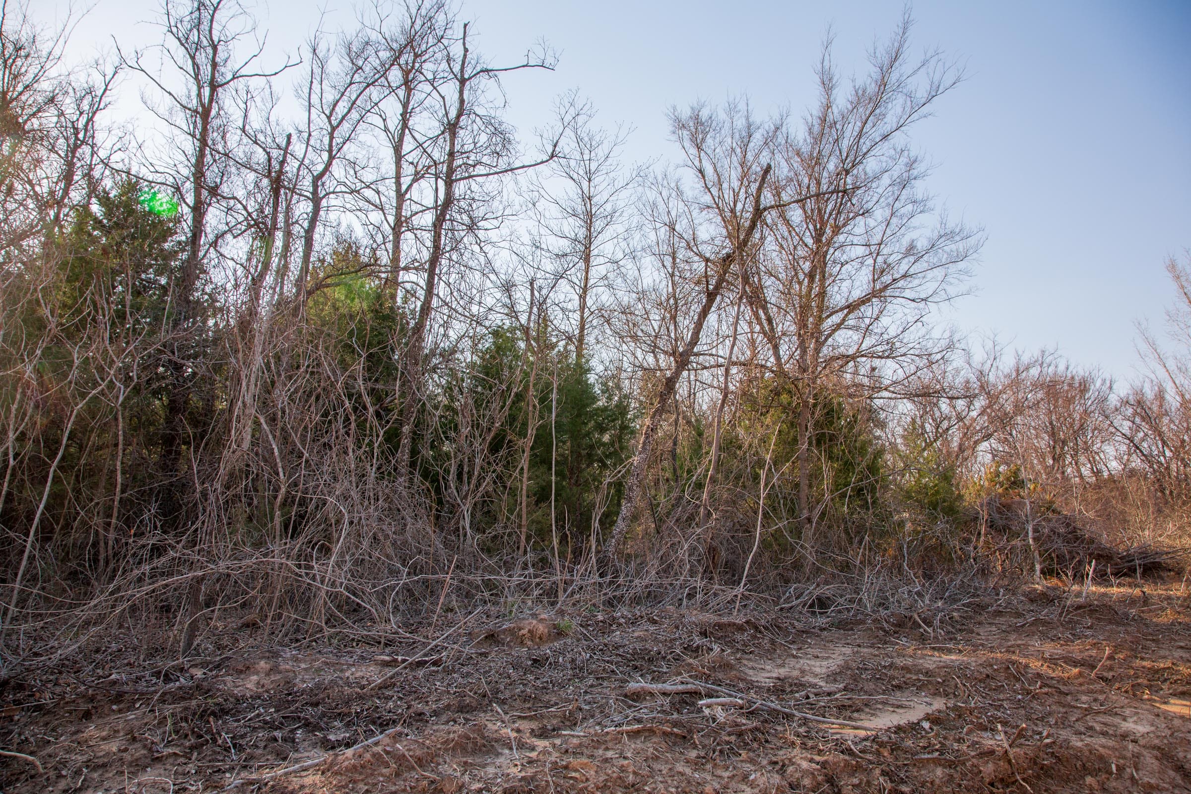 Eufaula Cove Tract 5 photo 3