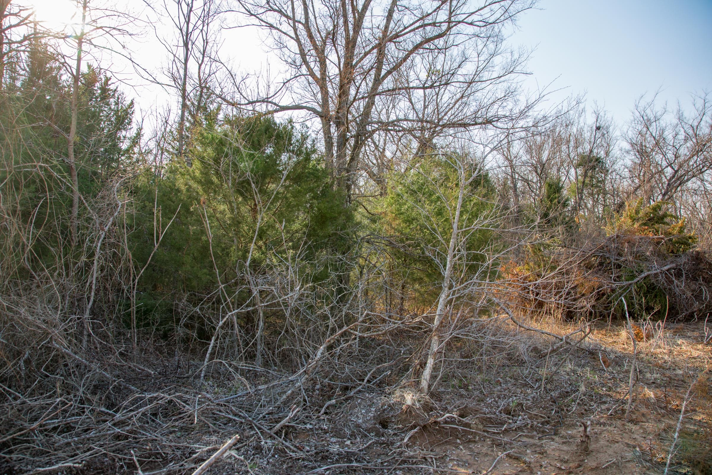Eufaula Cove Tract 5 photo 4