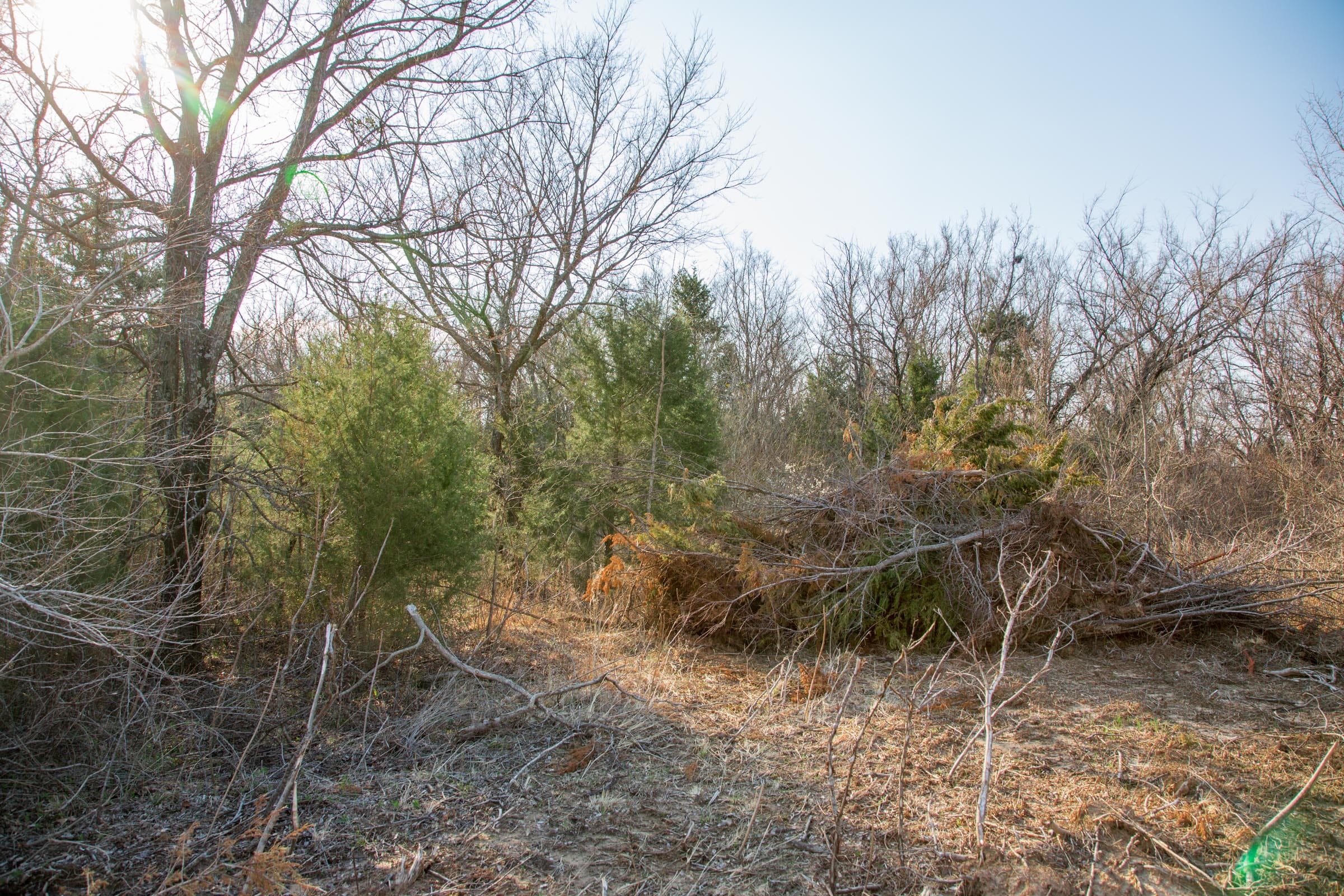 Eufaula Cove Tract 5 photo 5