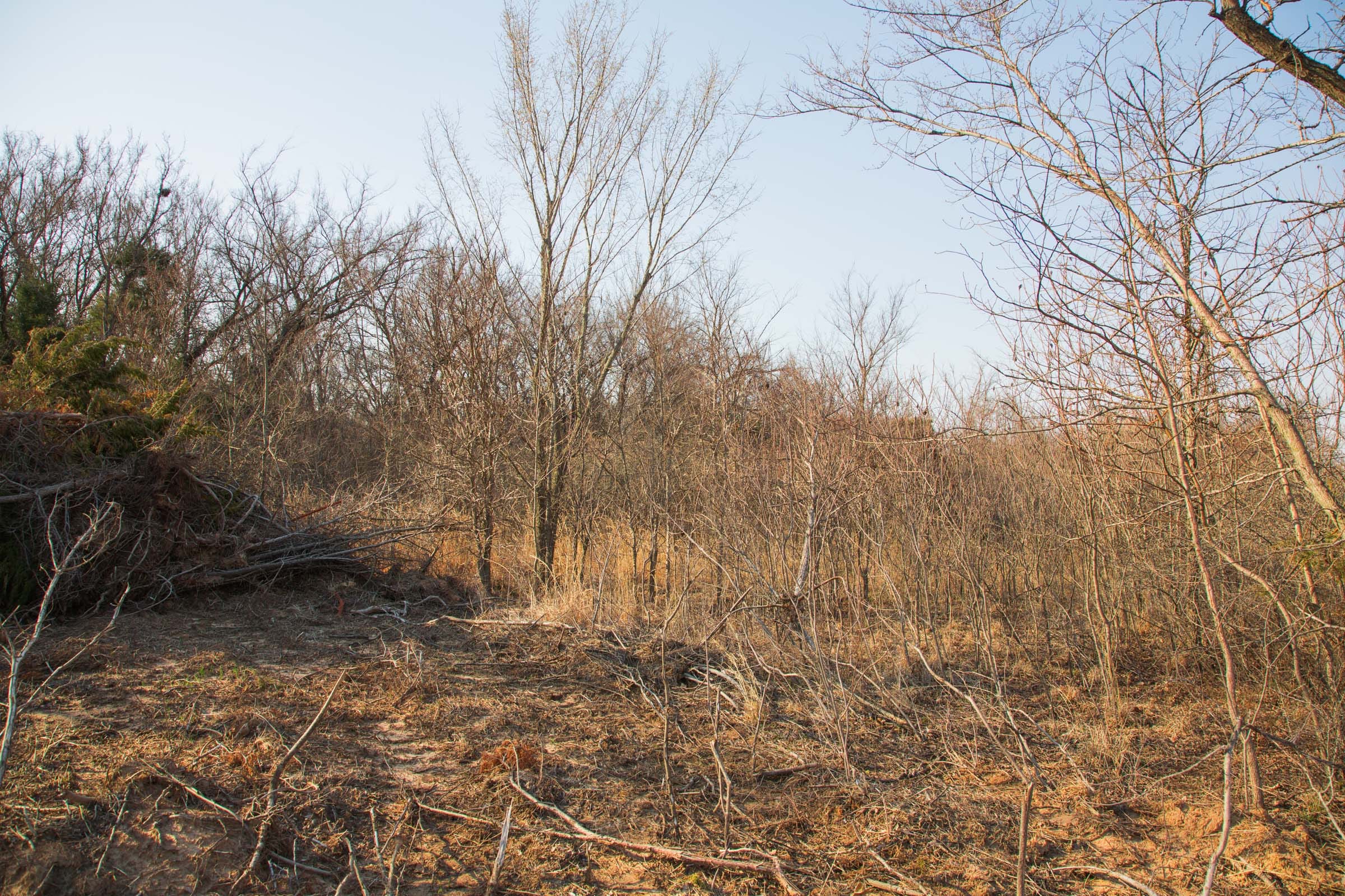 Eufaula Cove Tract 5 photo 6