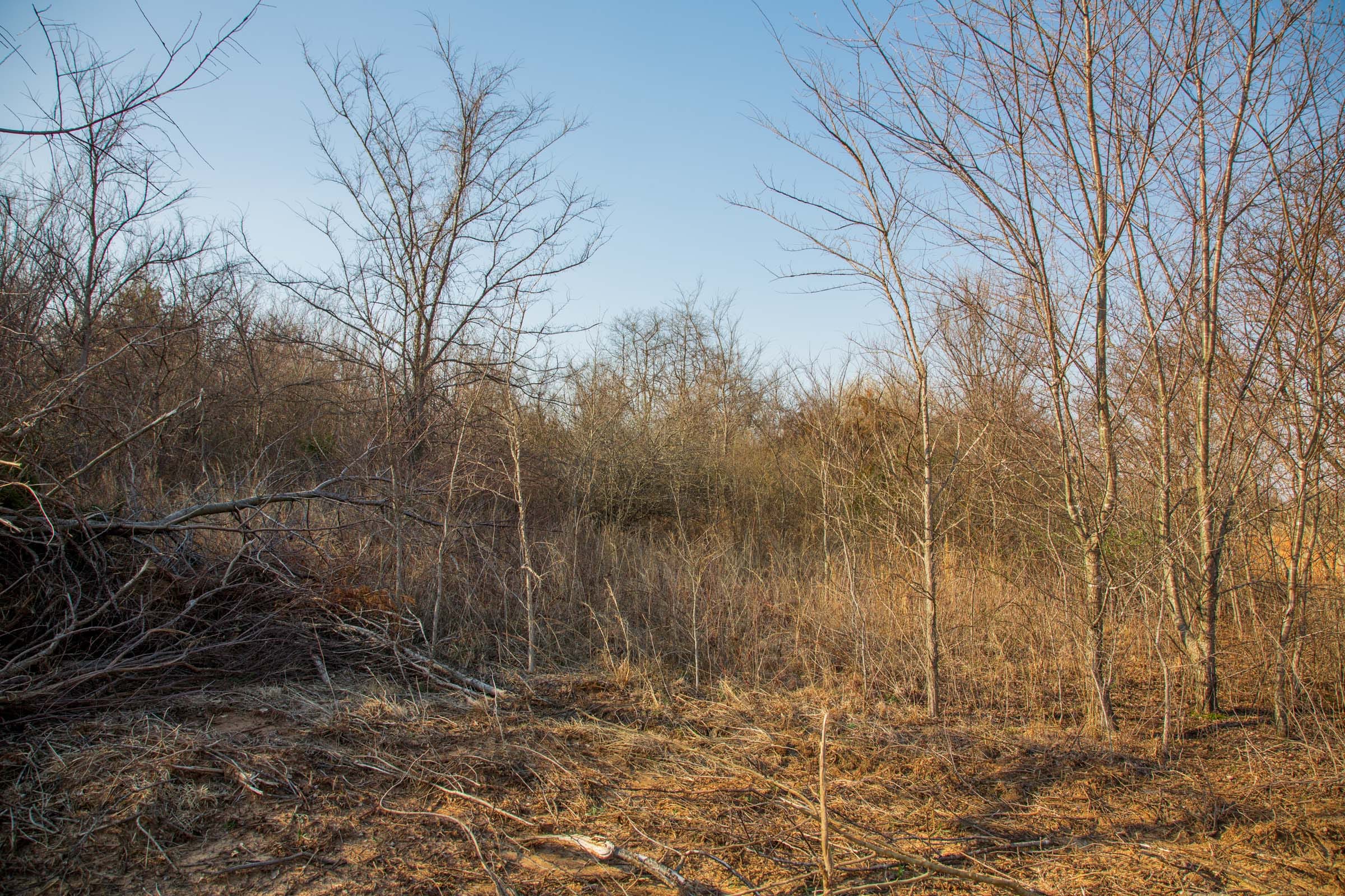 Eufaula Cove Tract 5 photo 8