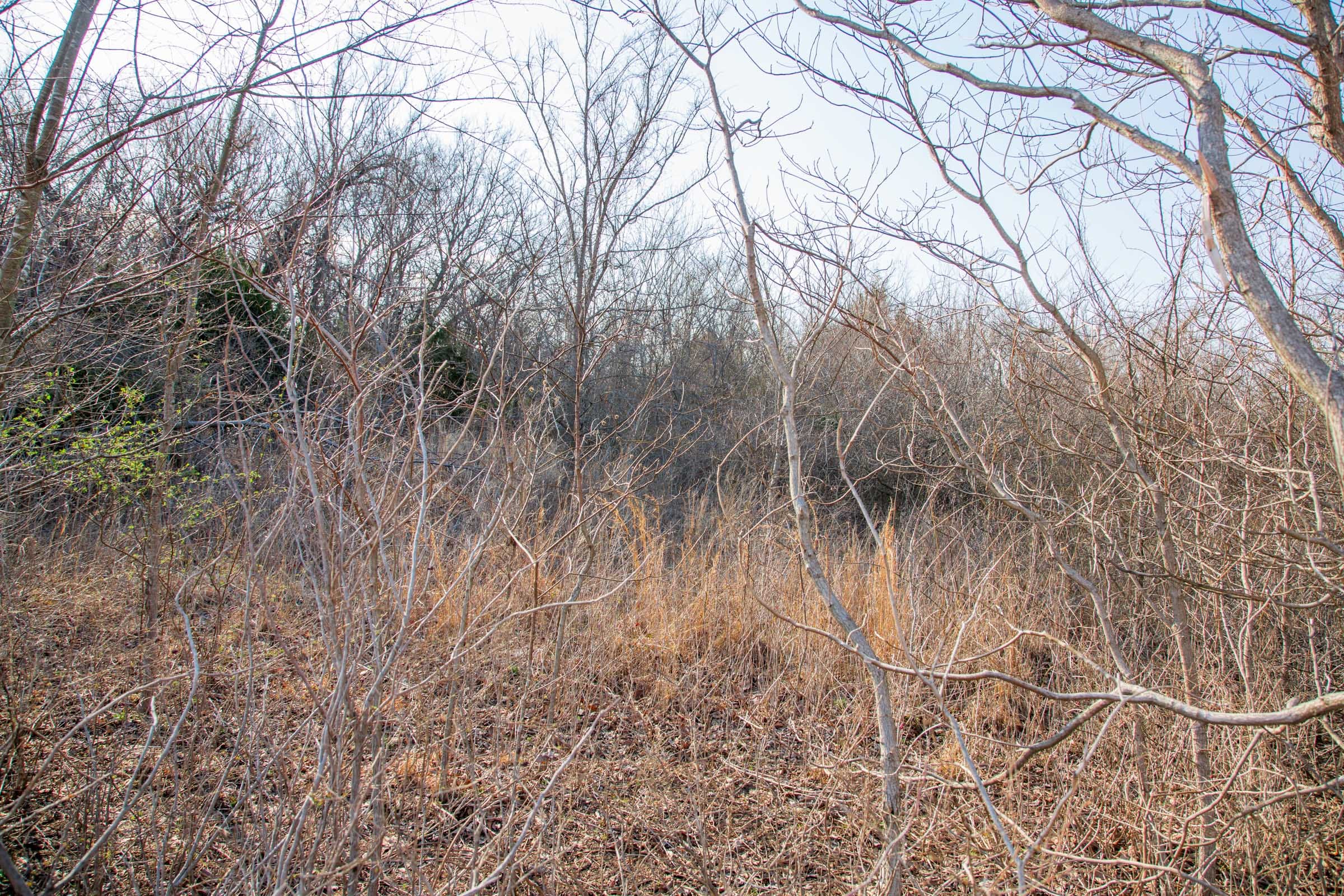 Eufaula Cove Tract 5 photo 9