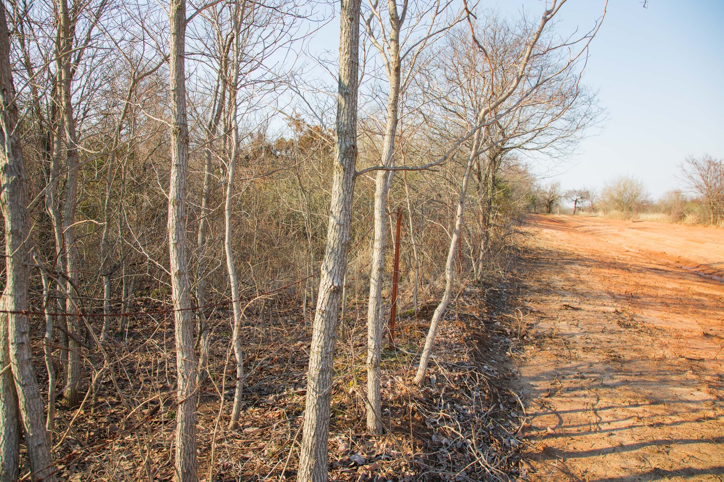 Eufaula Cove Tract 5 photo 10