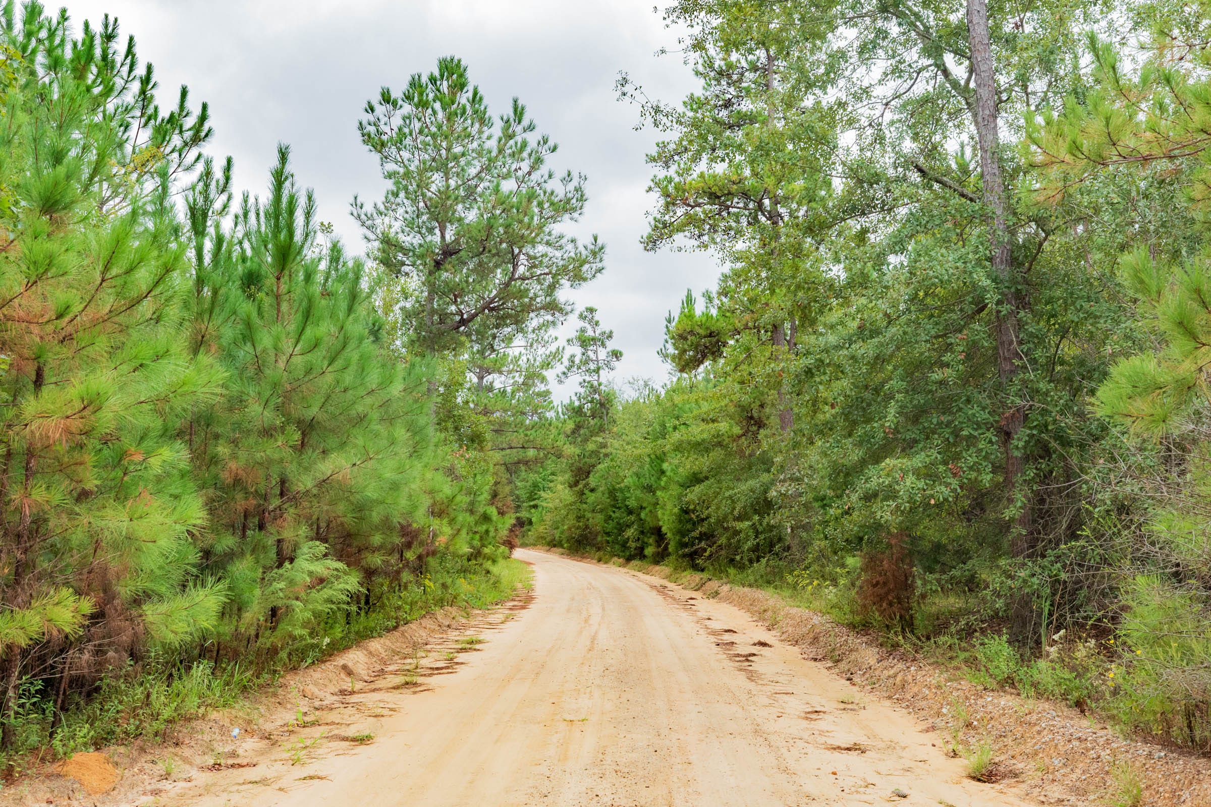 Jackson’s Gap Tract 5 photo 6