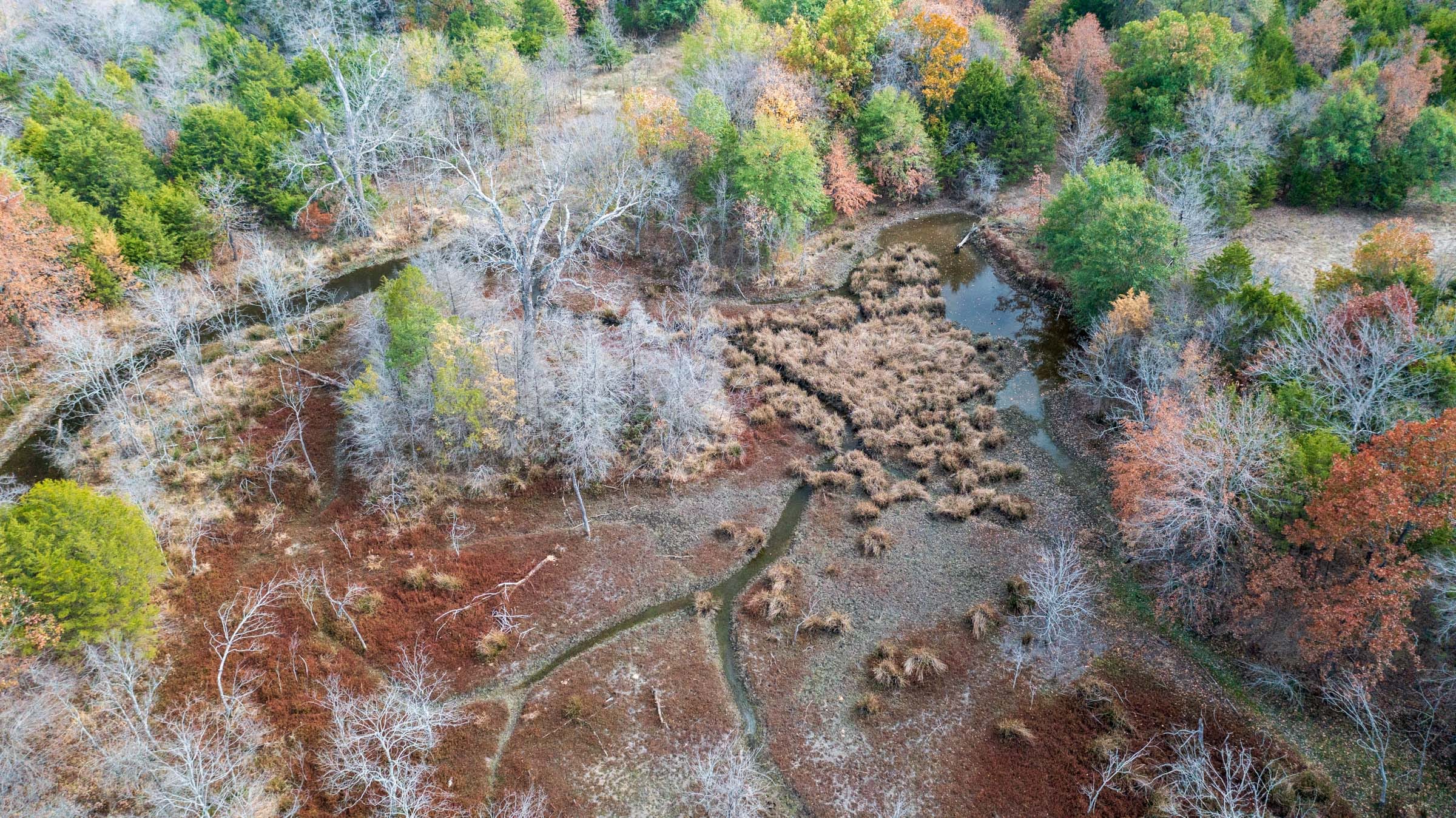 Crystal Springs Tract 8 photo 5