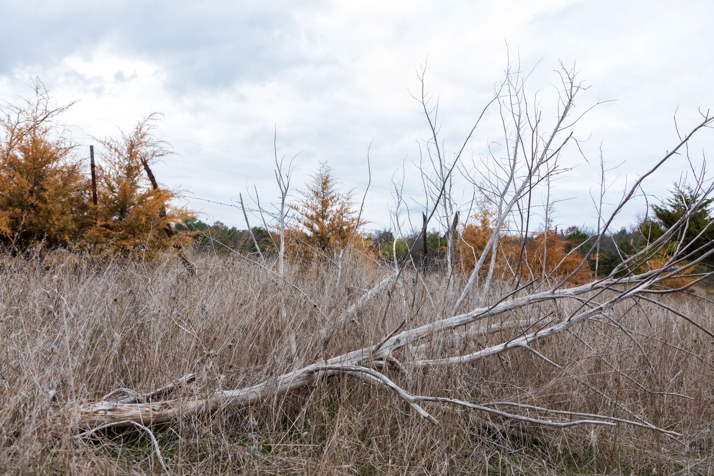 Crystal Springs Tract 8 photo 8