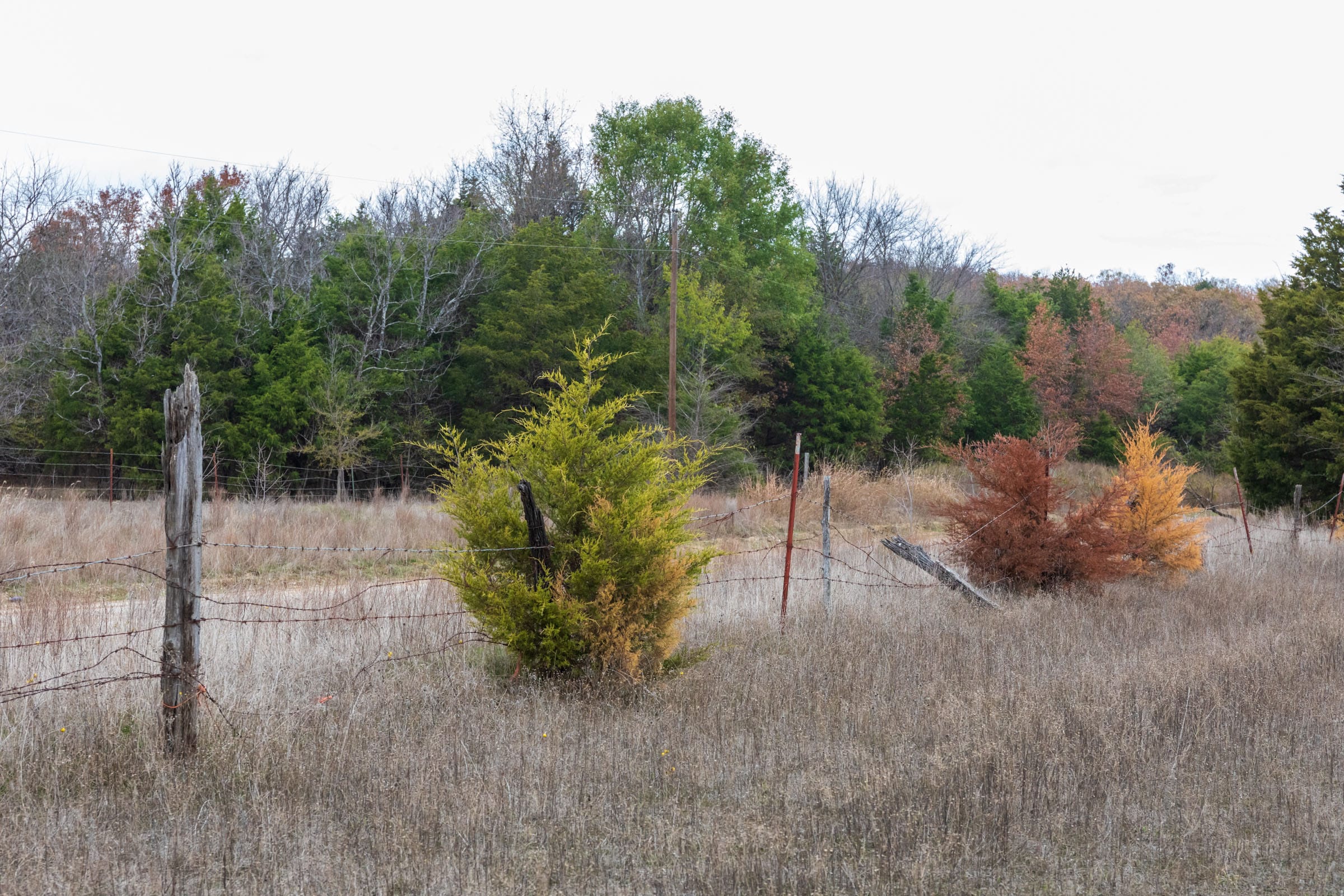 Crystal Springs Tract 8 photo 6