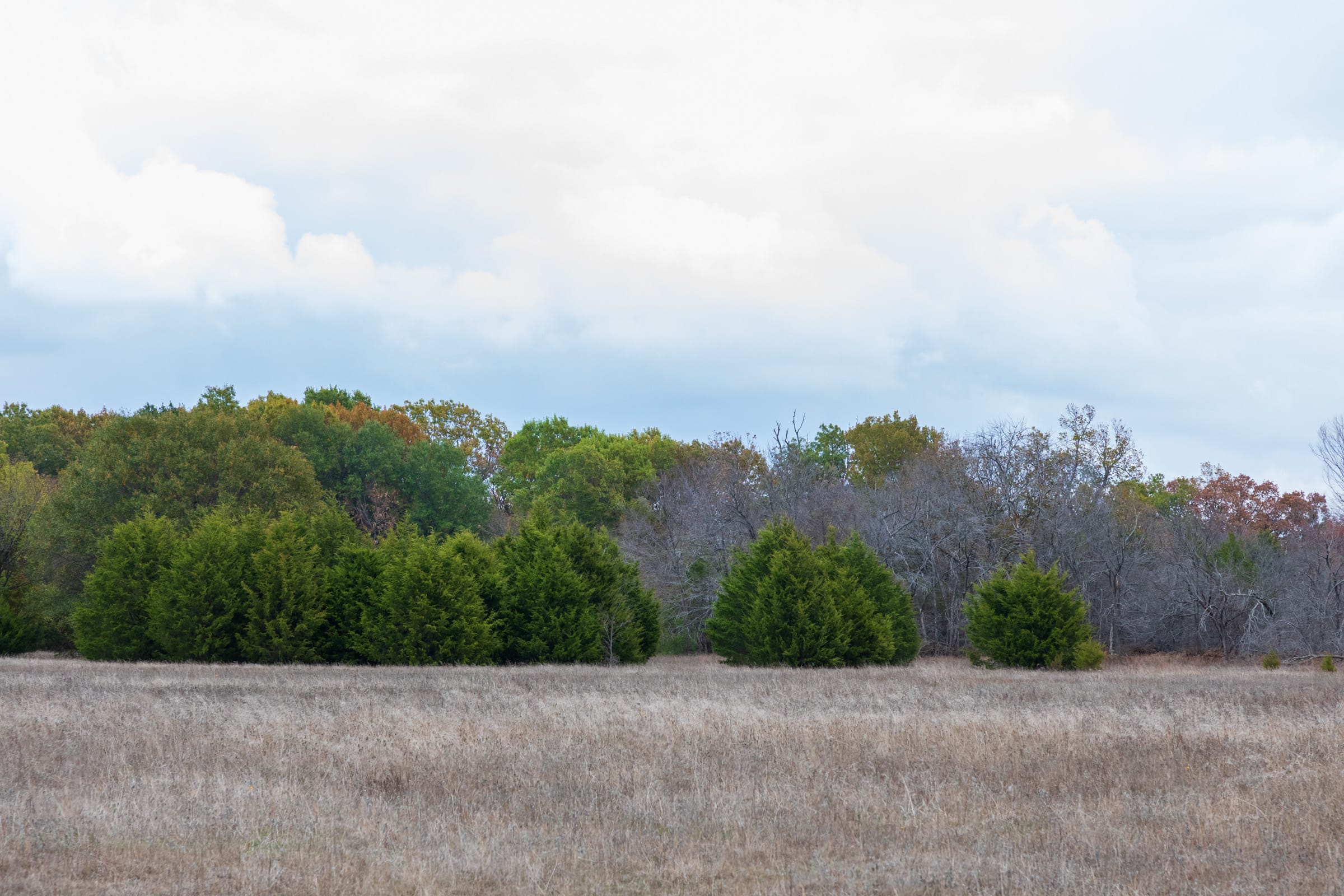 Crystal Springs Tract 8 photo 3