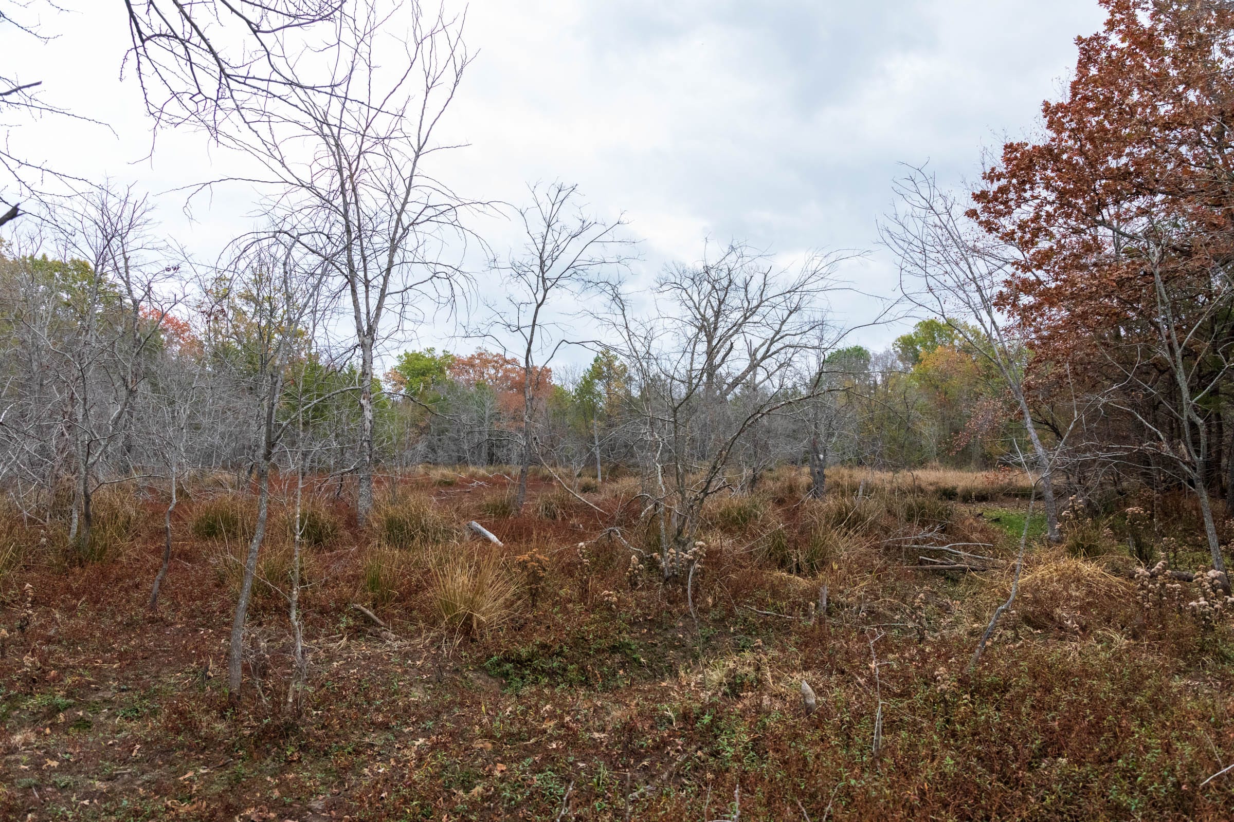 Crystal Springs Tract 8 photo 10