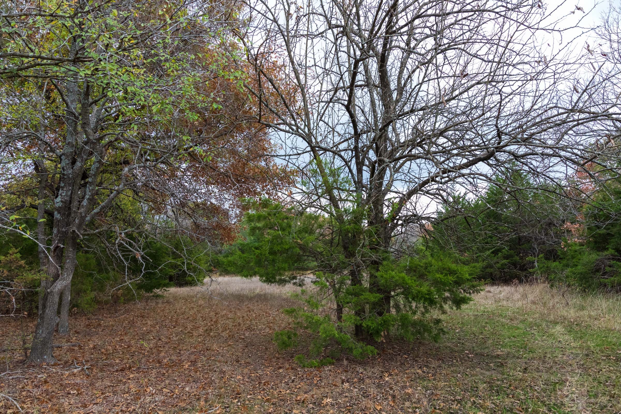 Crystal Springs Tract 8 photo 11
