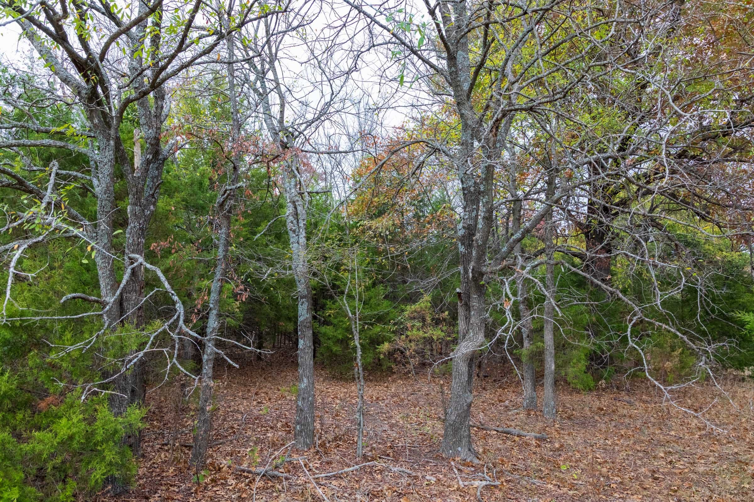 Crystal Springs Tract 8 photo 12