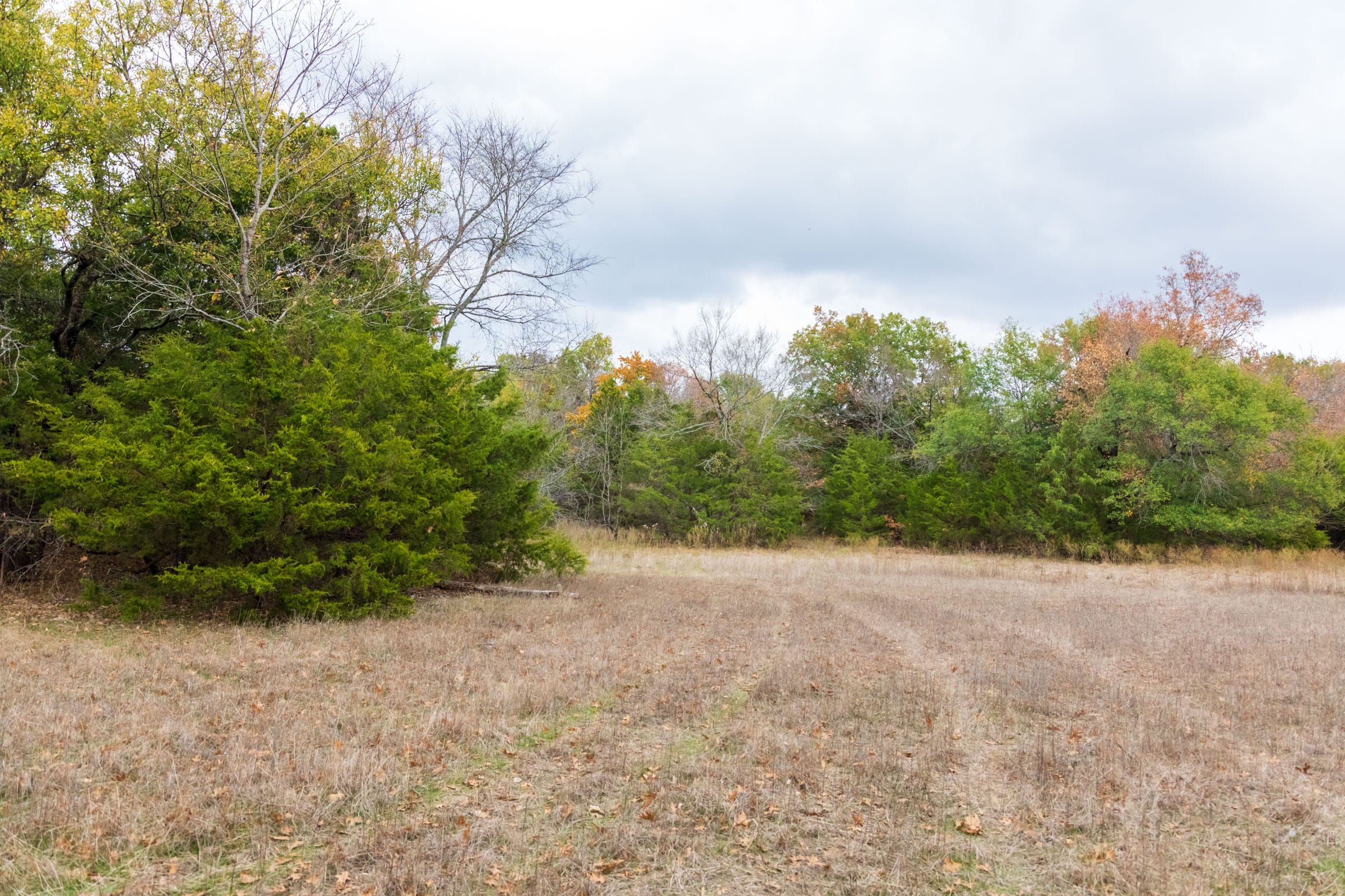 Crystal Springs Tract 8 photo 13