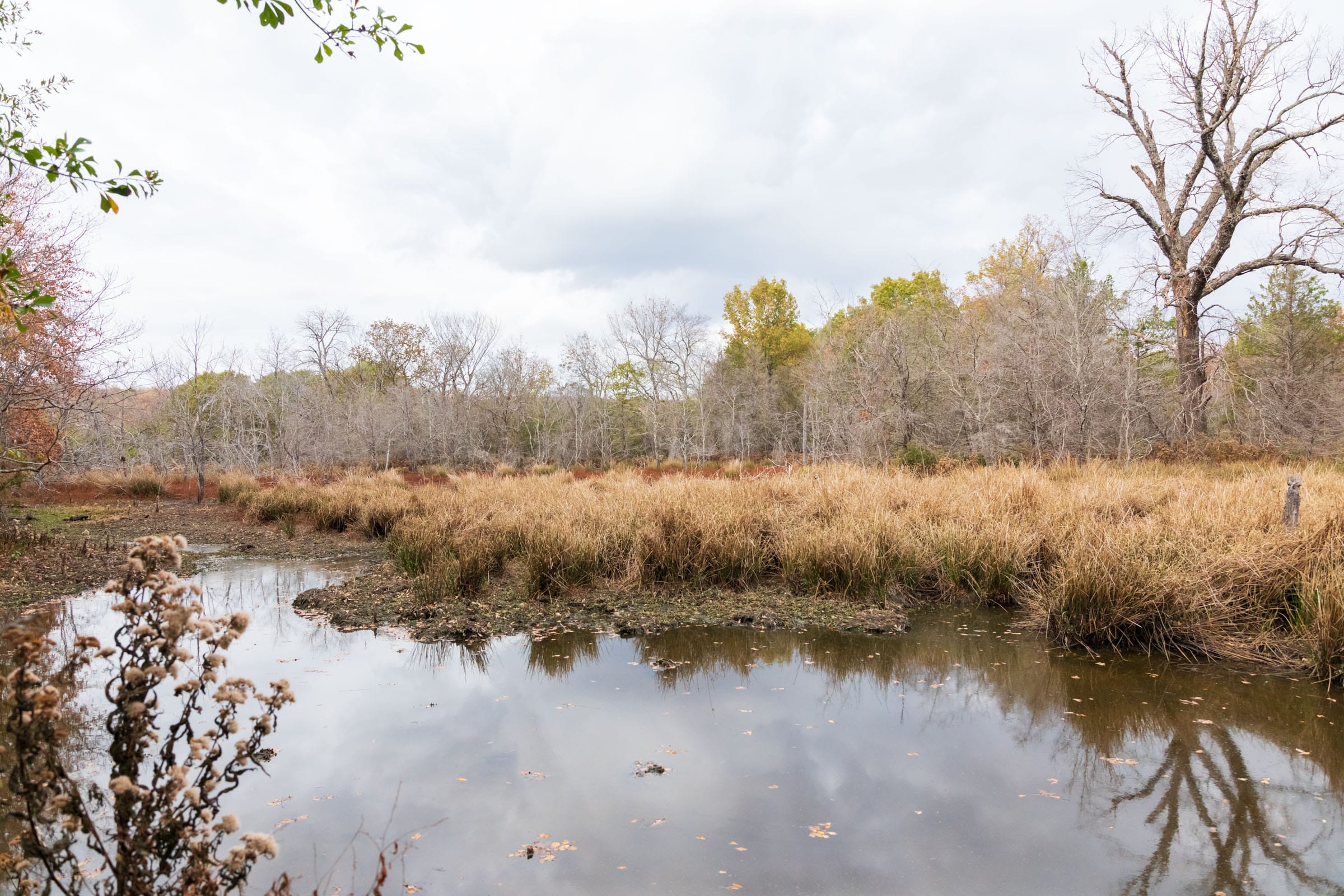 Crystal Springs Tract 8 photo 2