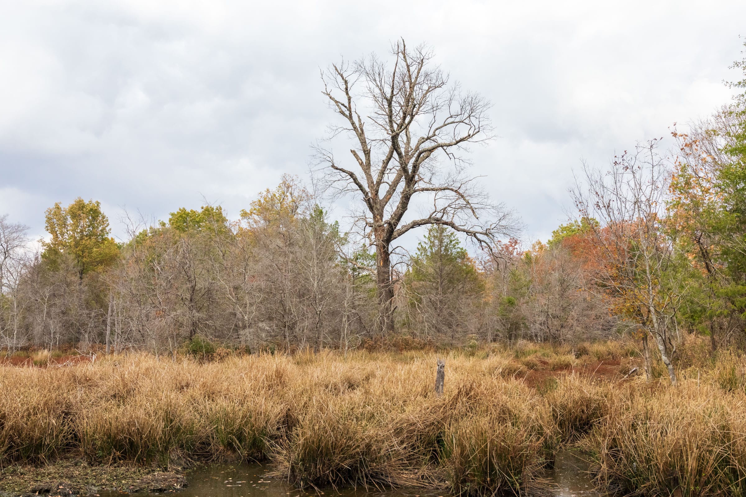 Crystal Springs Tract 8 photo 14