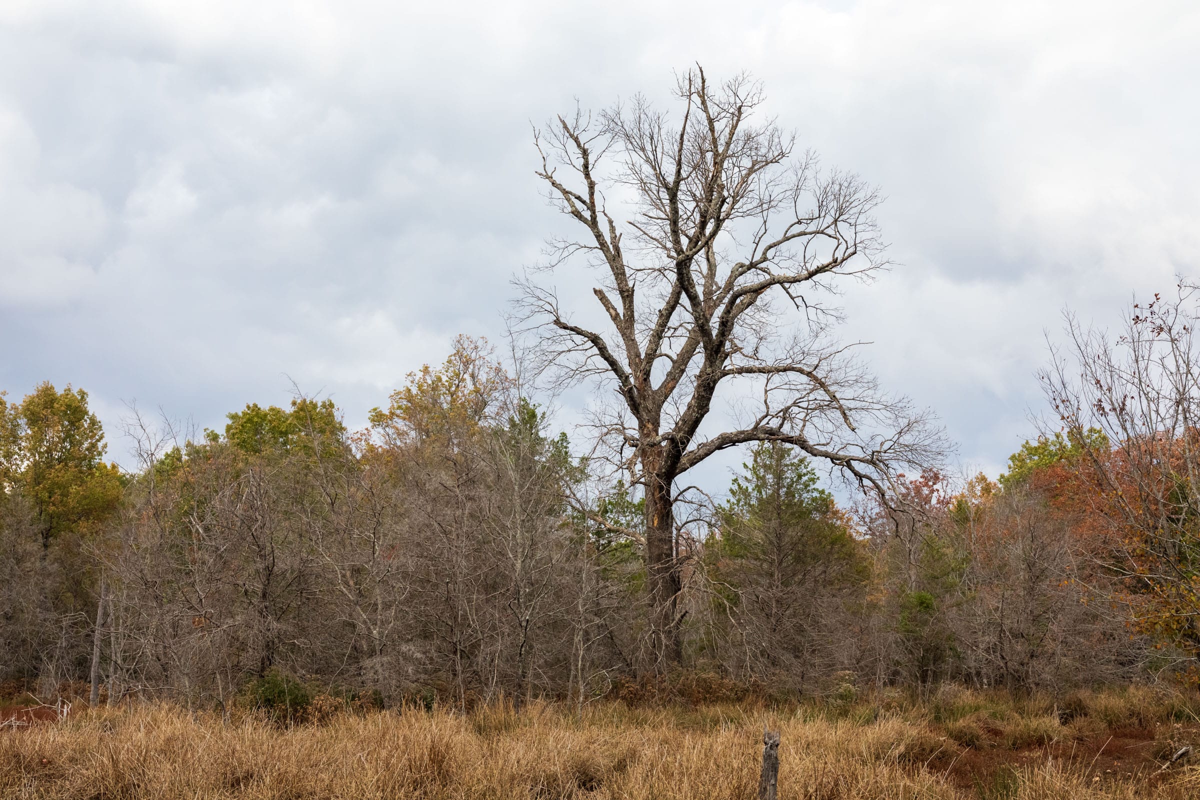 Crystal Springs Tract 8 photo 15