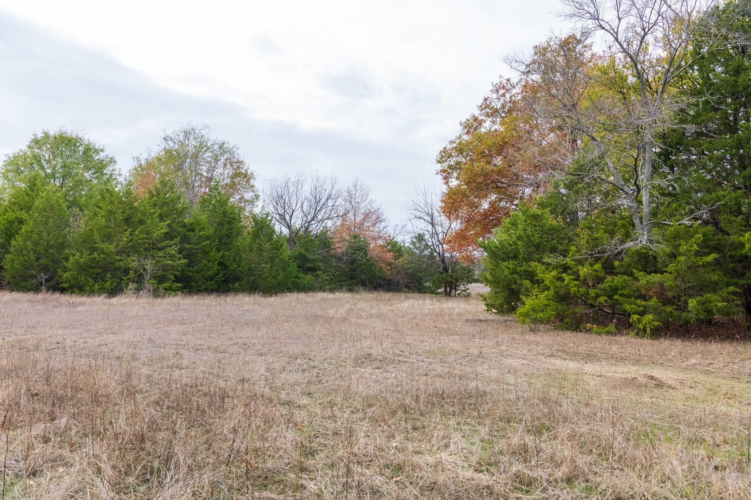 Crystal Springs Tract 8 photo 16