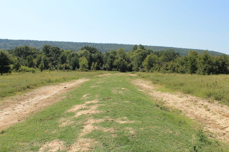 Daisy Meadows Tract 41 photo 1