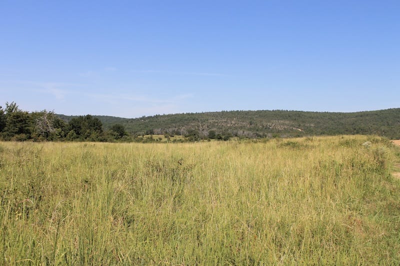 Daisy Meadows Tract 41 photo 7