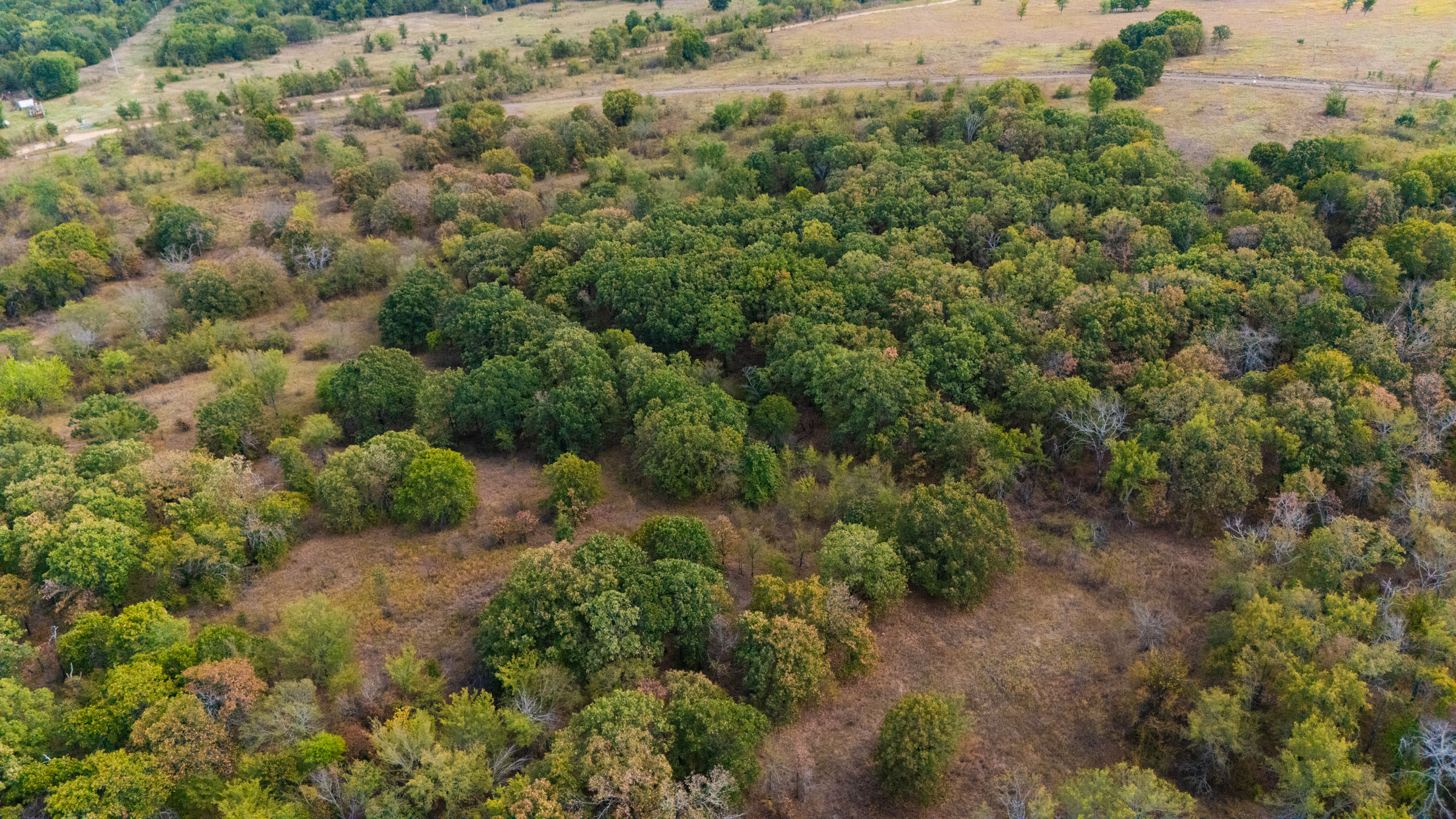 Gracyn Meadows Tract 17 photo 10
