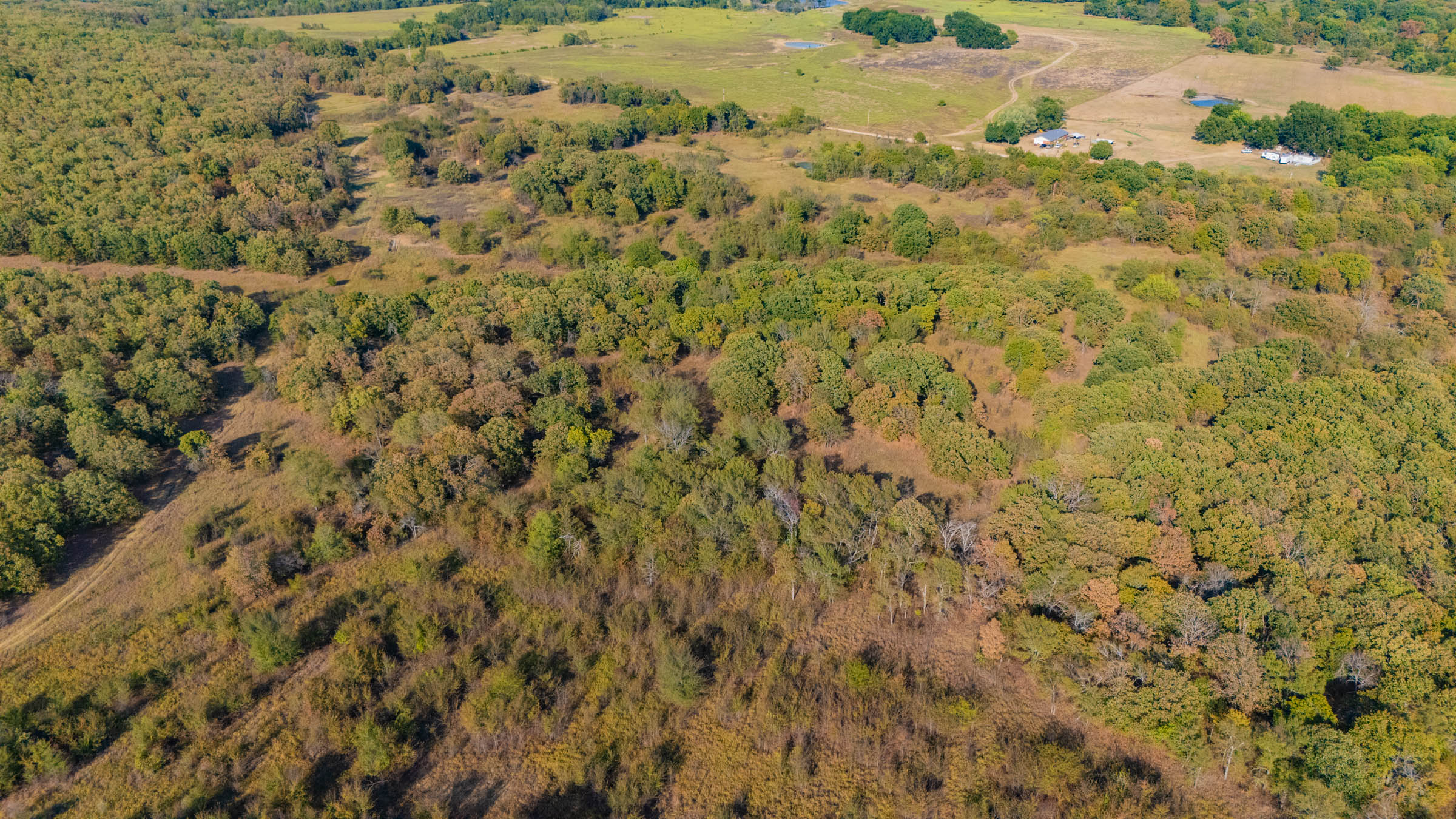 Gracyn Meadows Tract 17 photo 2
