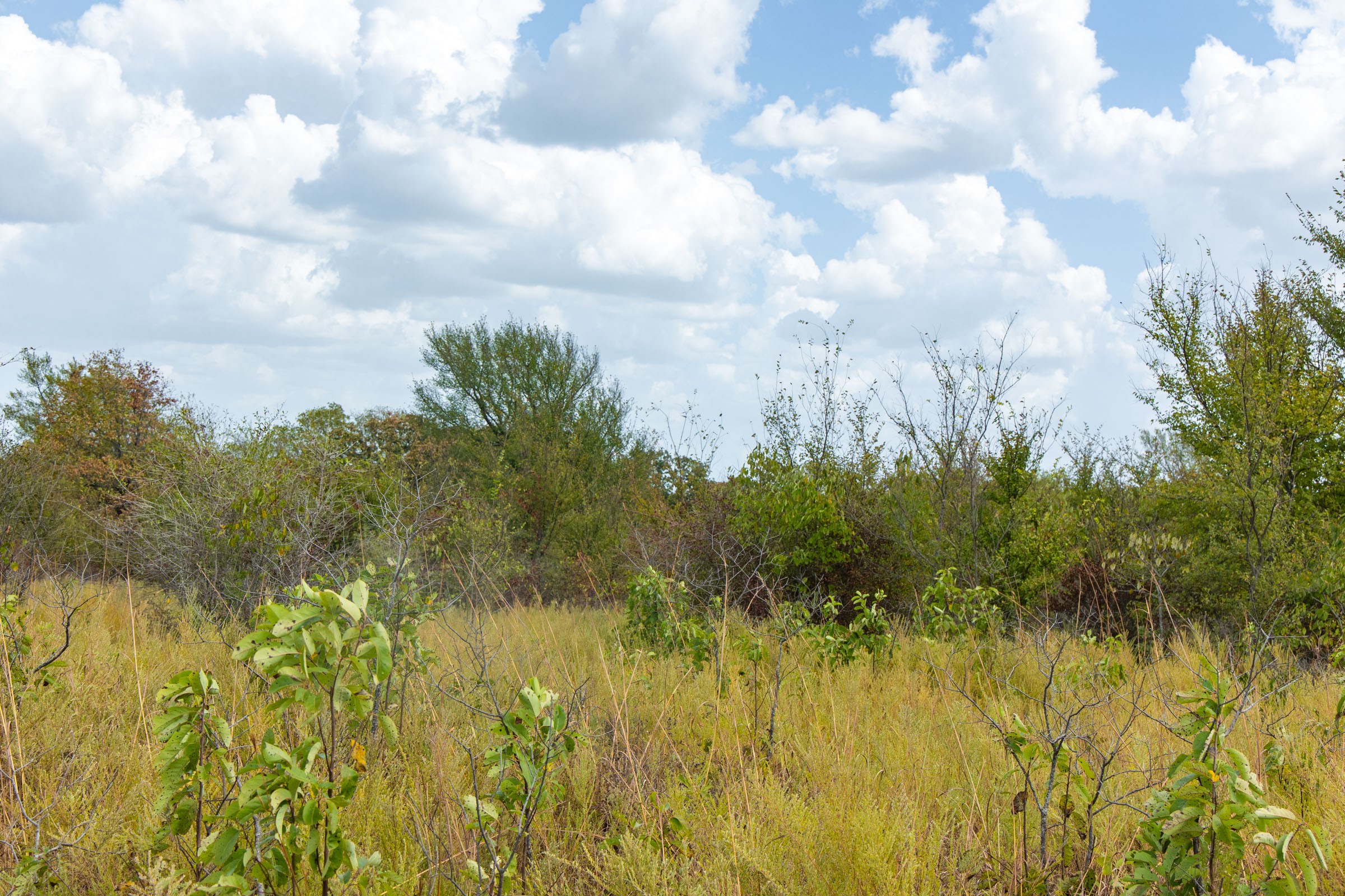 Gracyn Meadows Tract 17 photo 9