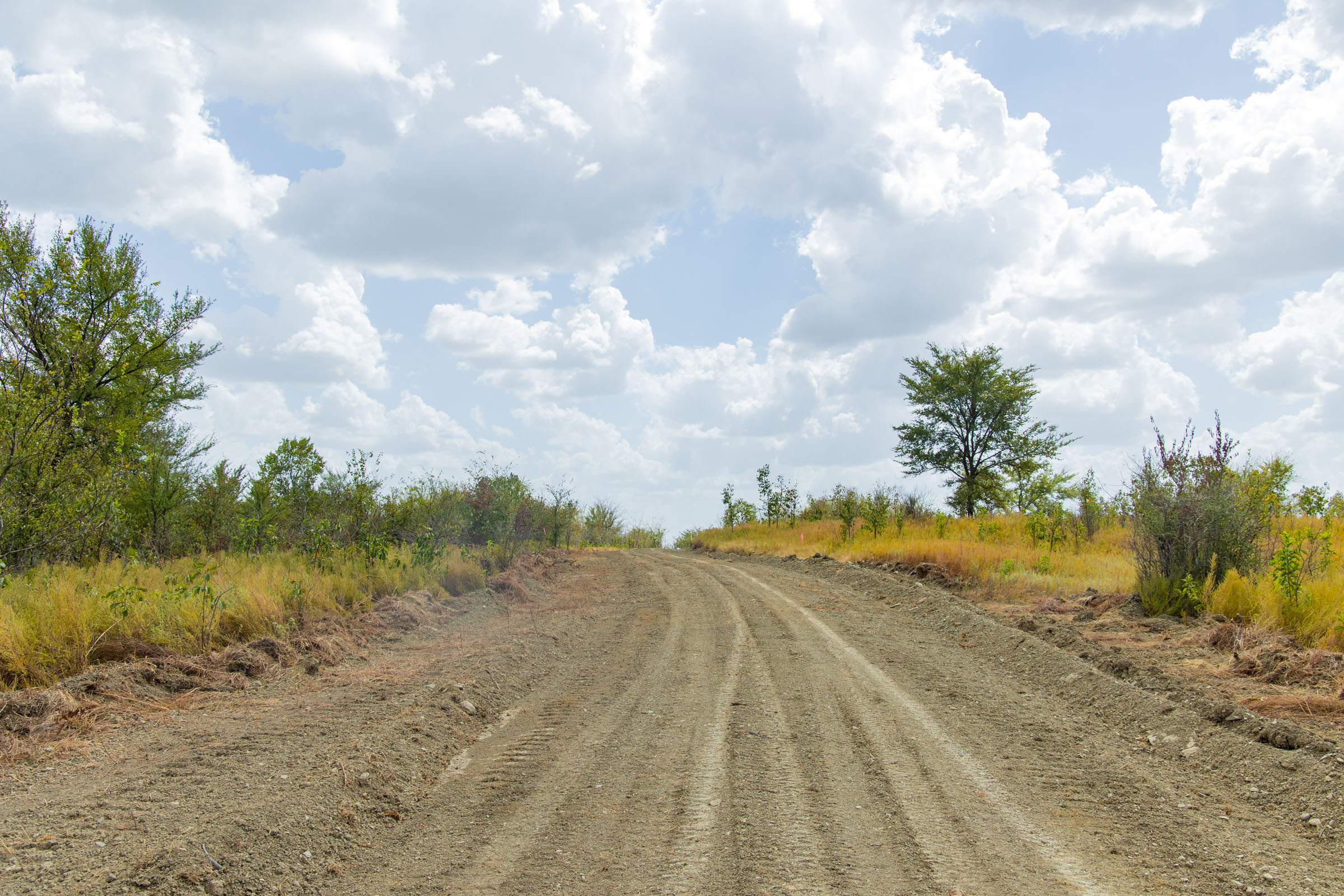 Gracyn Meadows Tract 17 photo 7