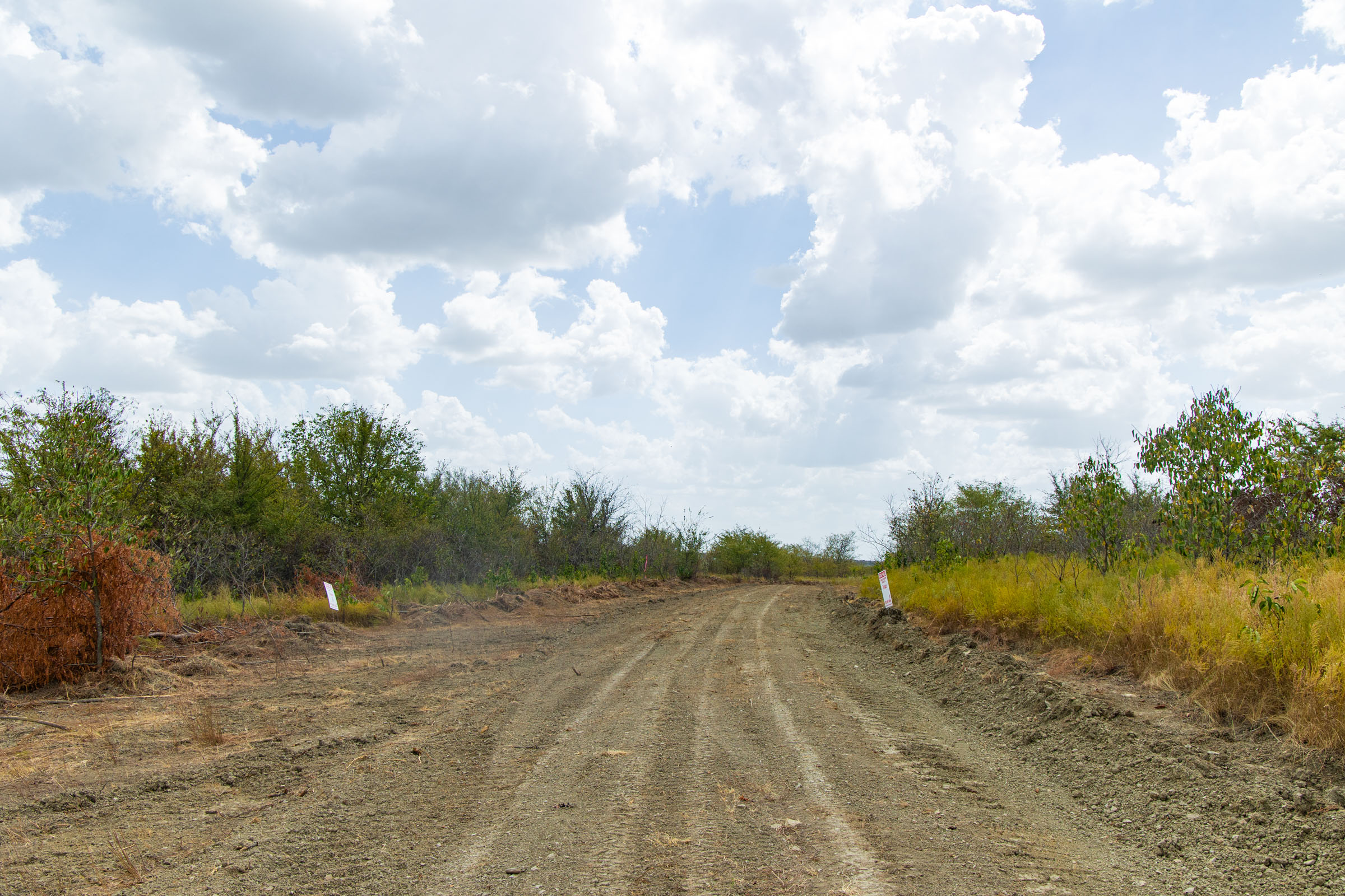 Gracyn Meadows Tract 17 photo 6