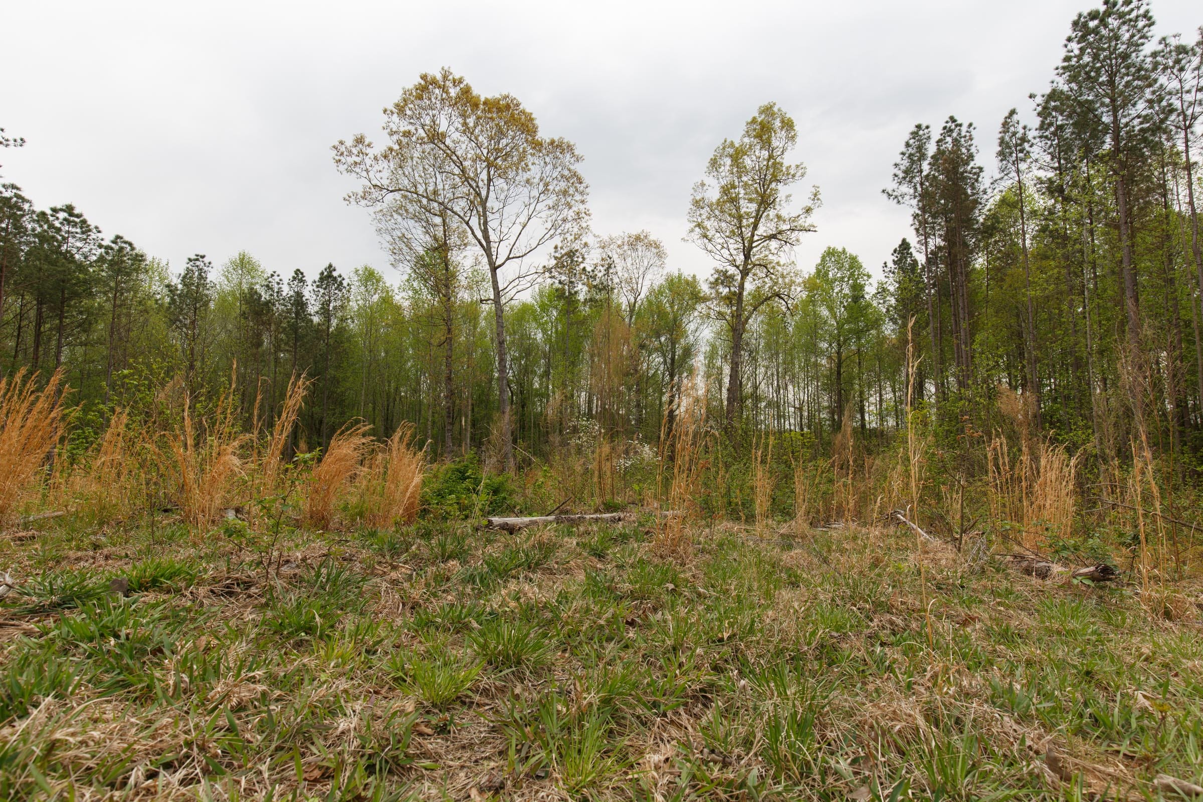 Twin Rivers Tract 15 photo 3