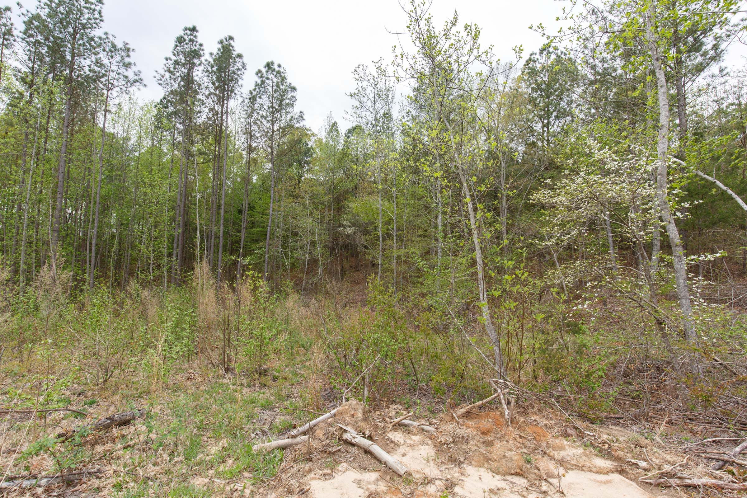 Twin Rivers Tract 15 photo 4