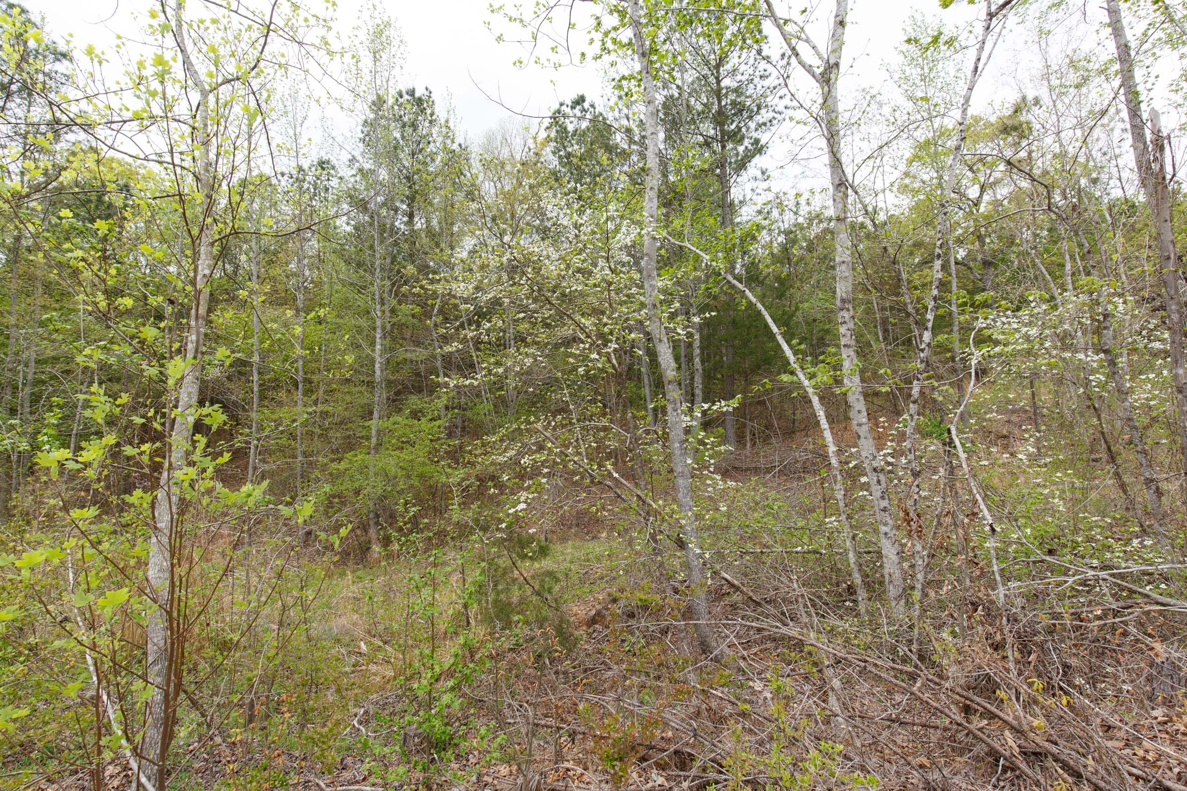 Twin Rivers Tract 15 photo 6