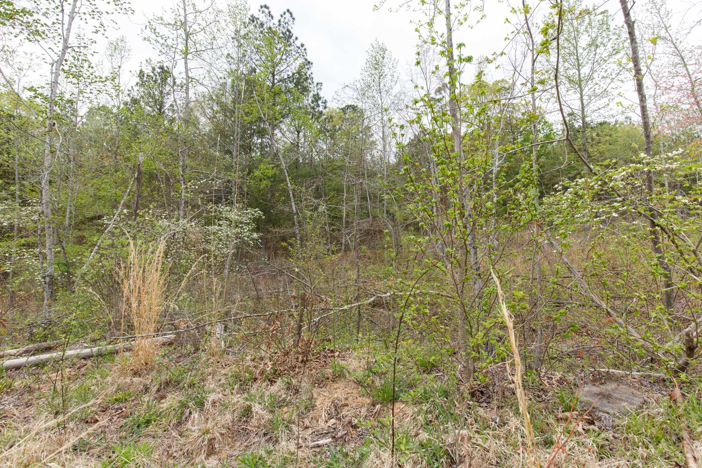 Twin Rivers Tract 15 photo 8