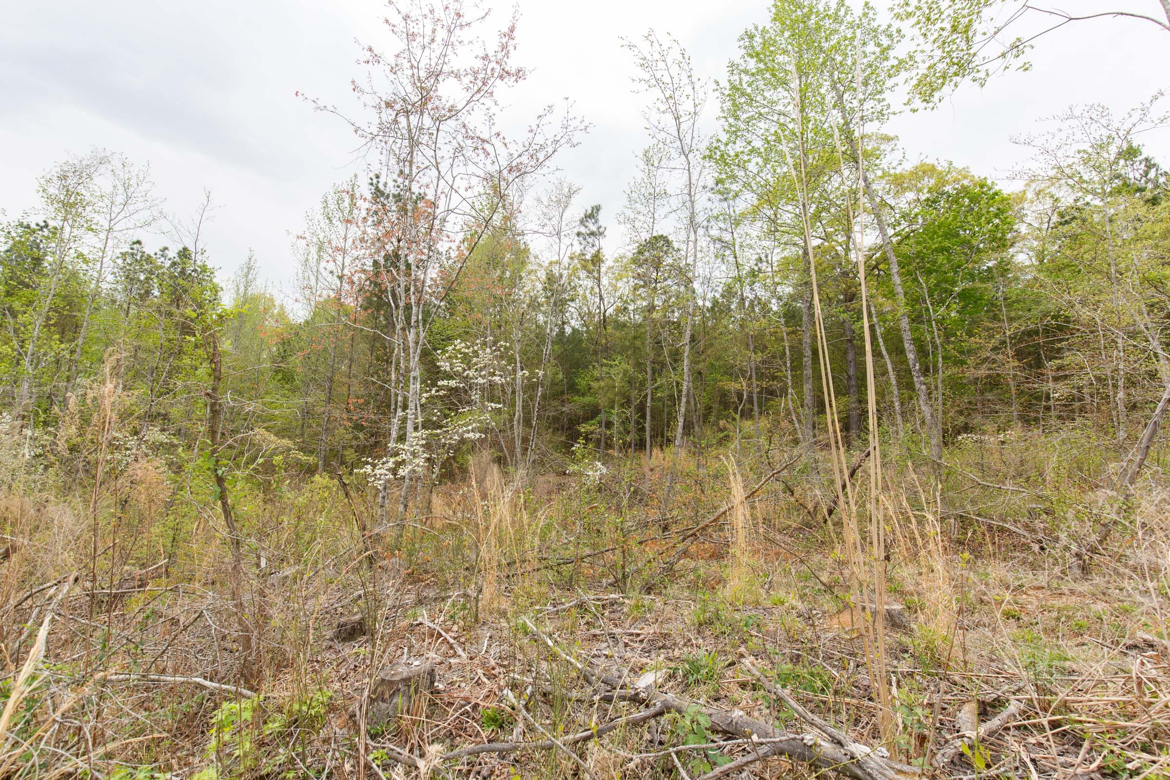 Twin Rivers Tract 15 photo 9