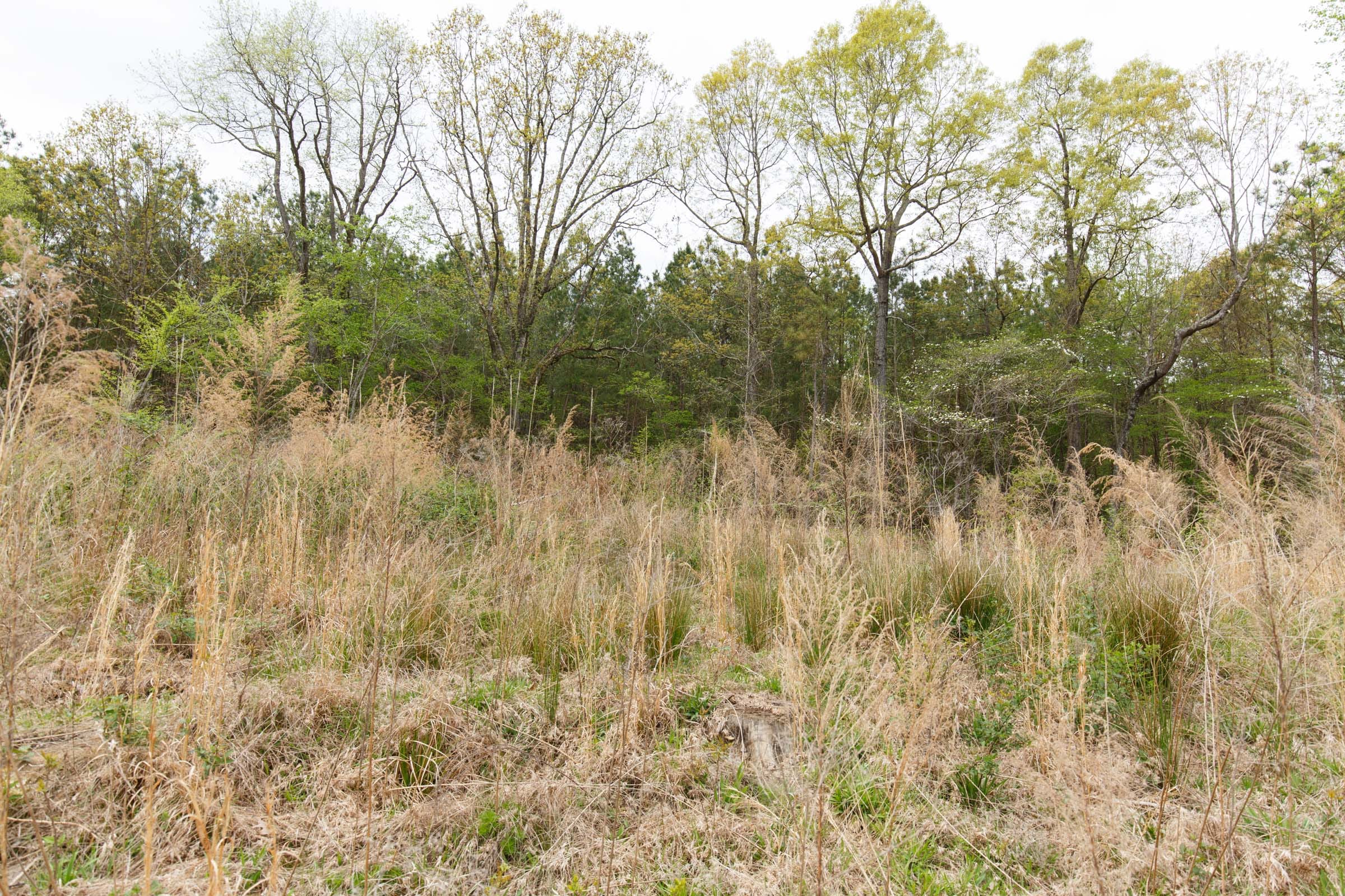 Twin Rivers Tract 15 photo 11