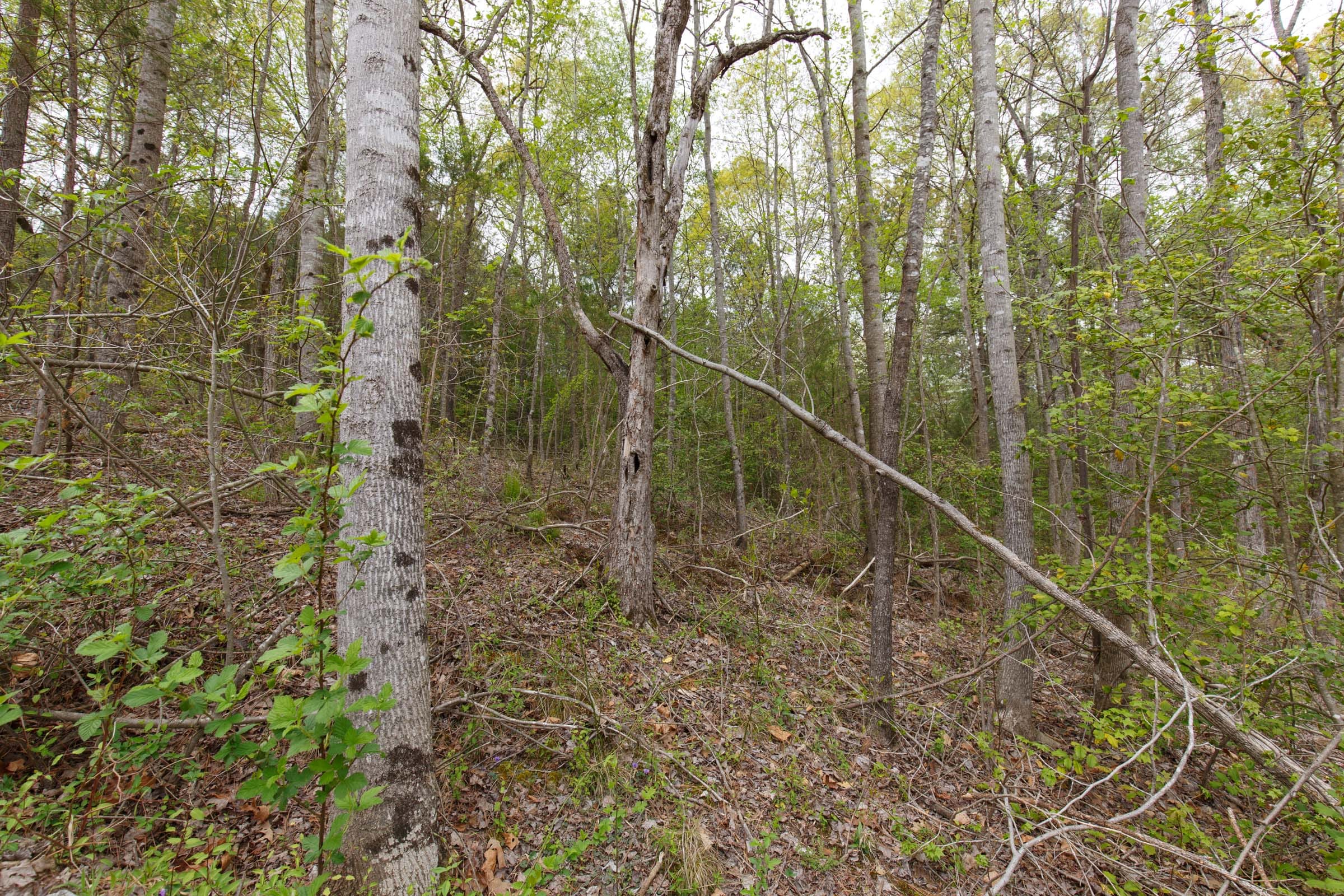 Twin Rivers Tract 15 photo 13