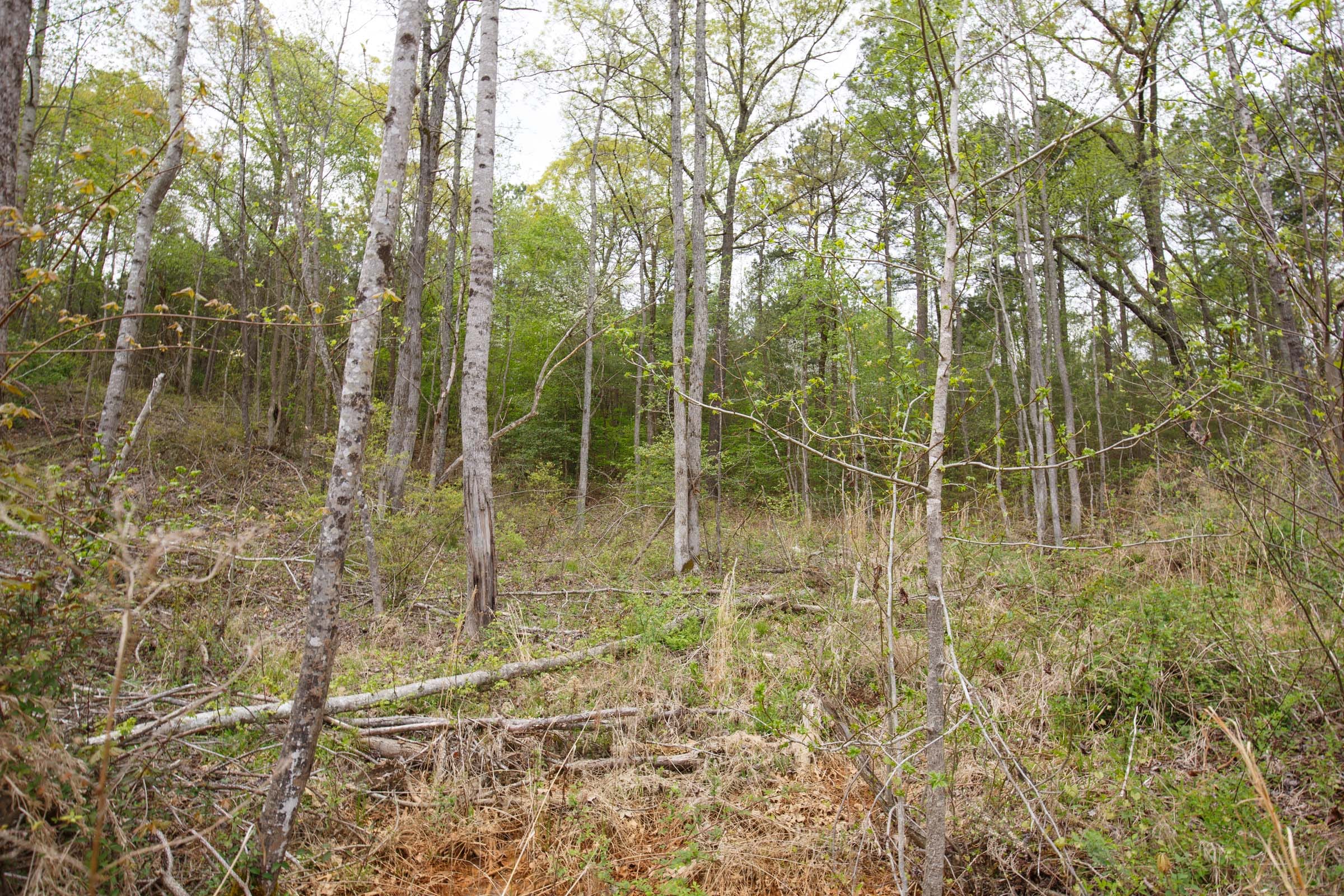 Twin Rivers Tract 15 photo 15