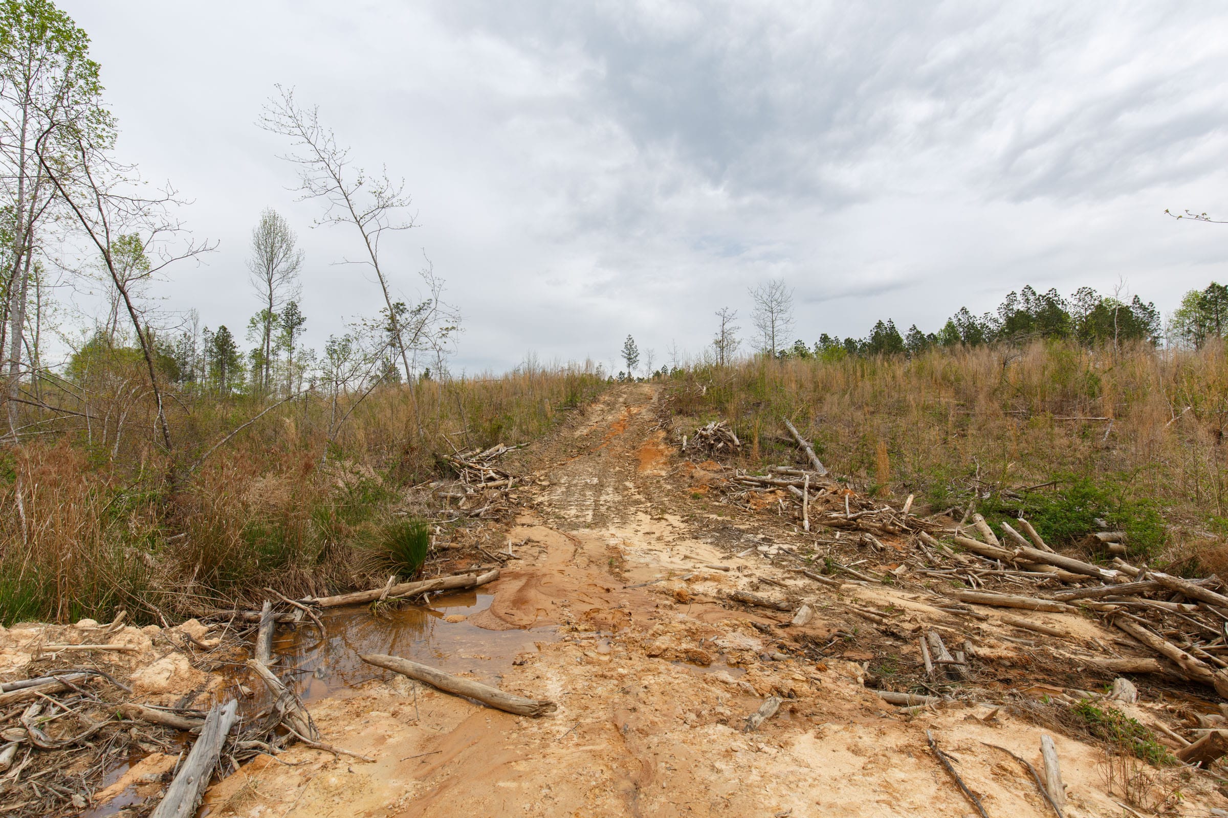 Twin Rivers Tract 15 photo 12