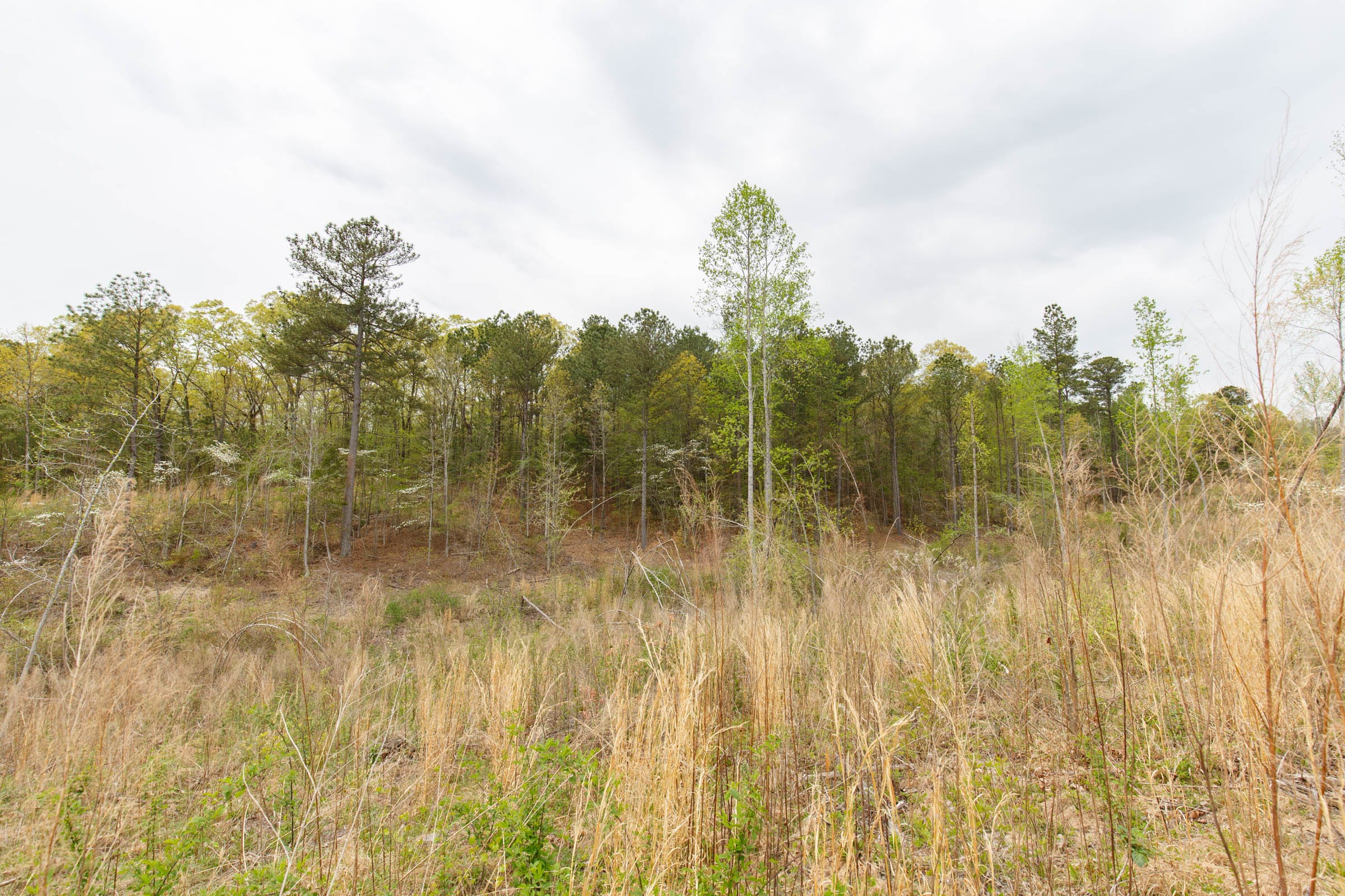 Twin Rivers Tract 15 photo 1
