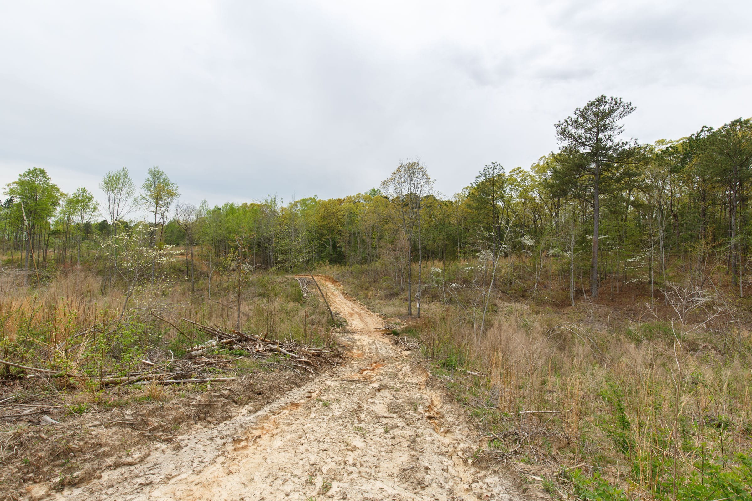 Twin Rivers Tract 15 photo 7