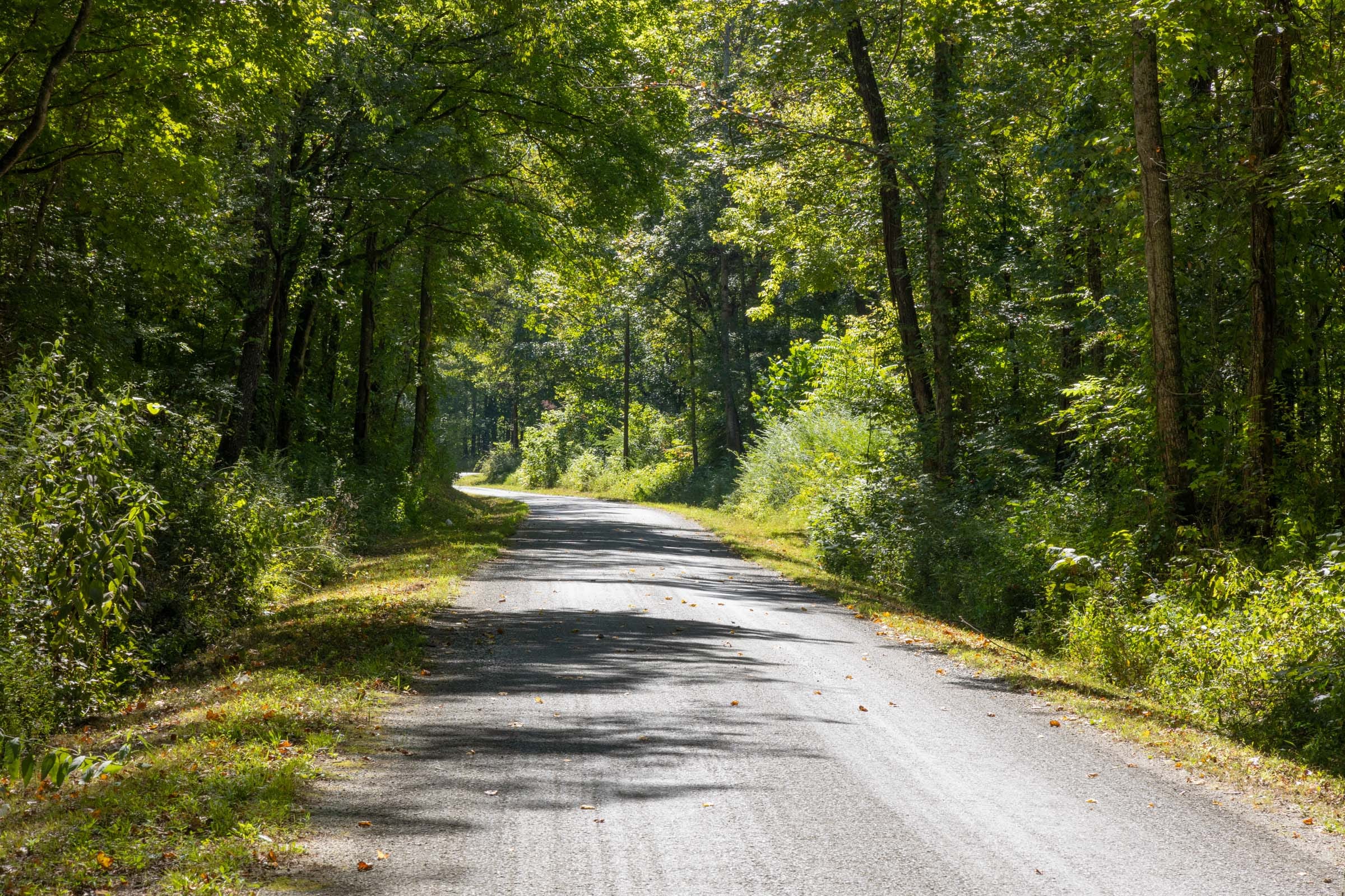 Big White Oak Tract 17 photo 5