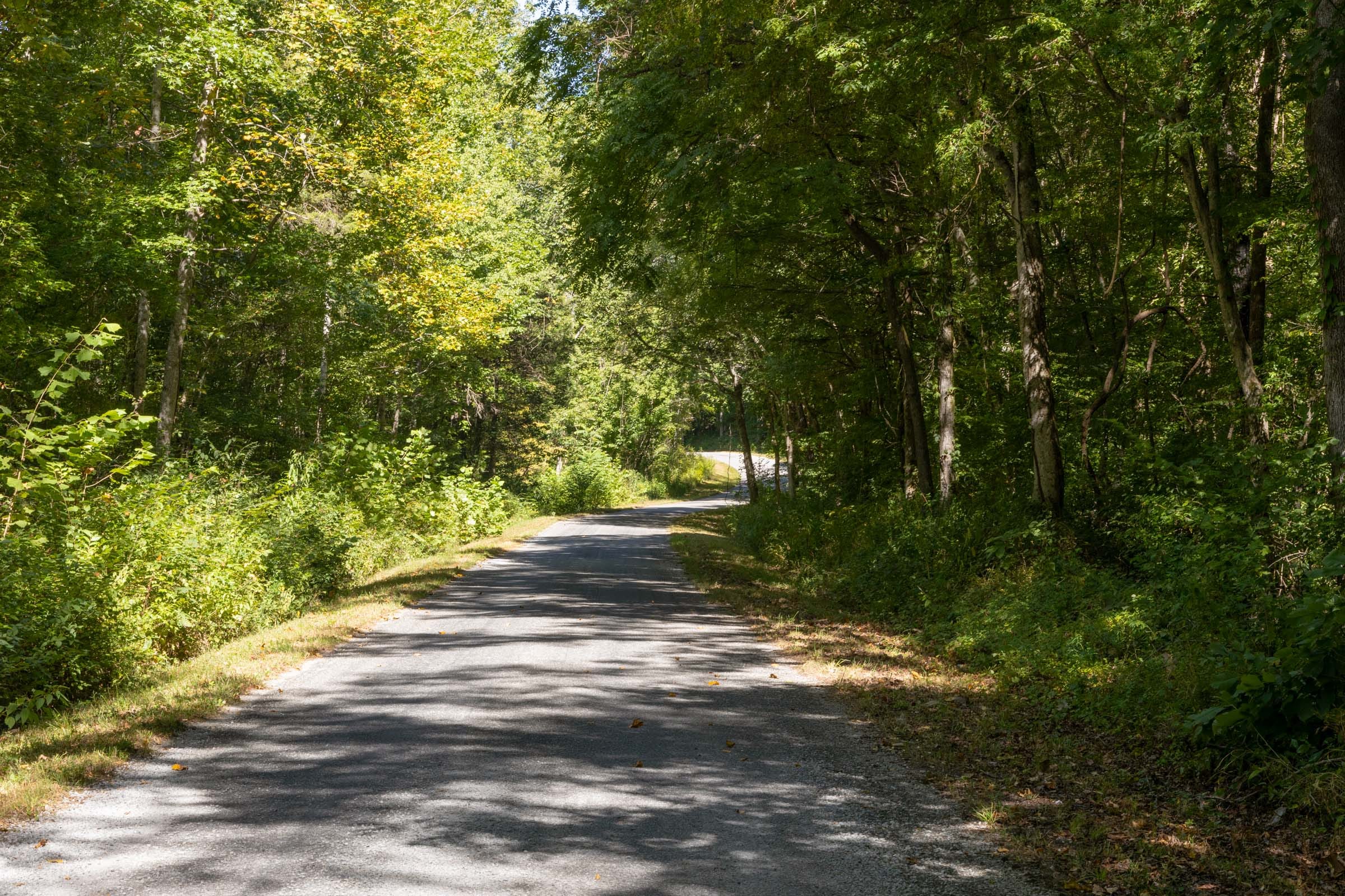 Big White Oak Tract 17 photo 1