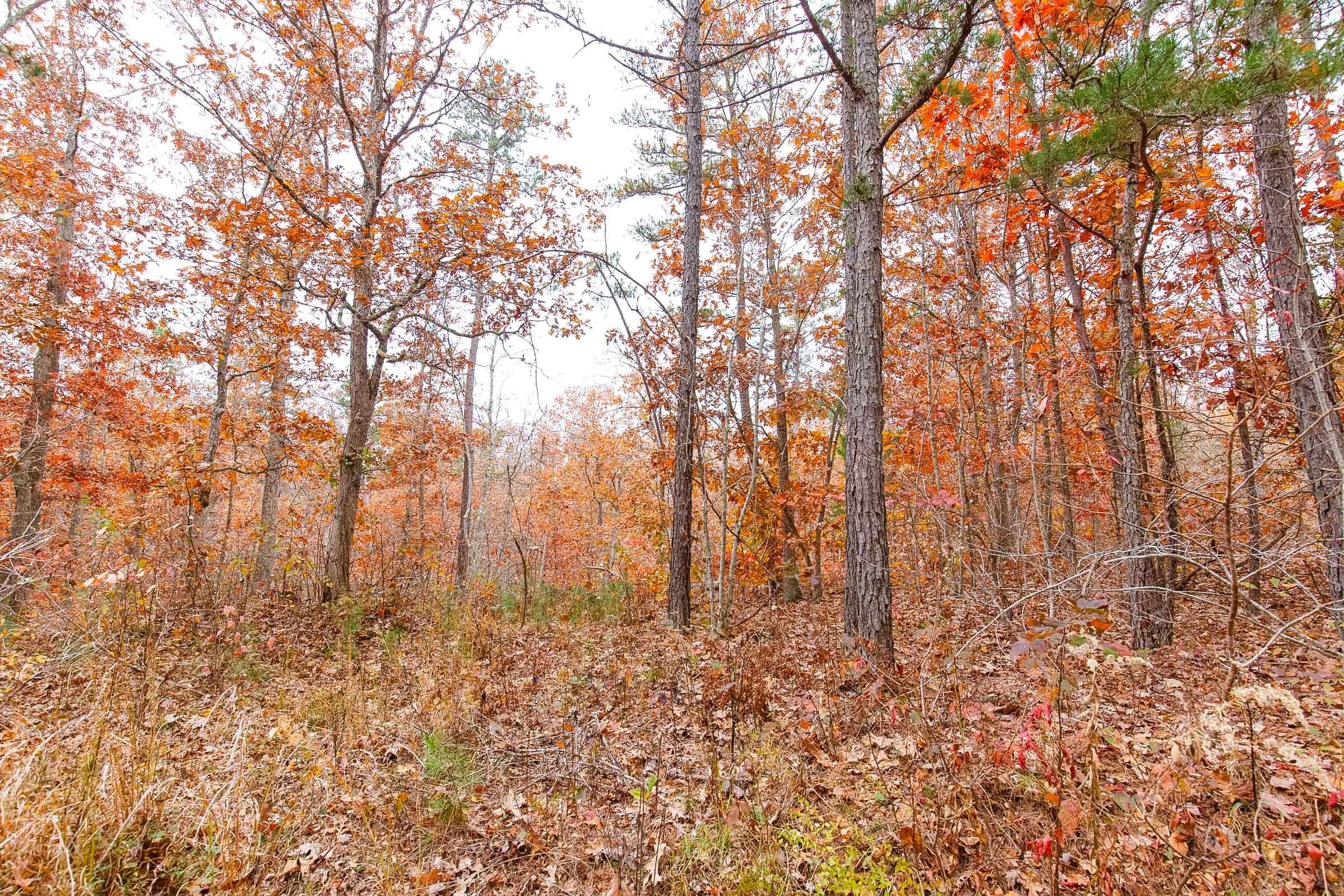 Hawkcrest Tract 11 photo 4