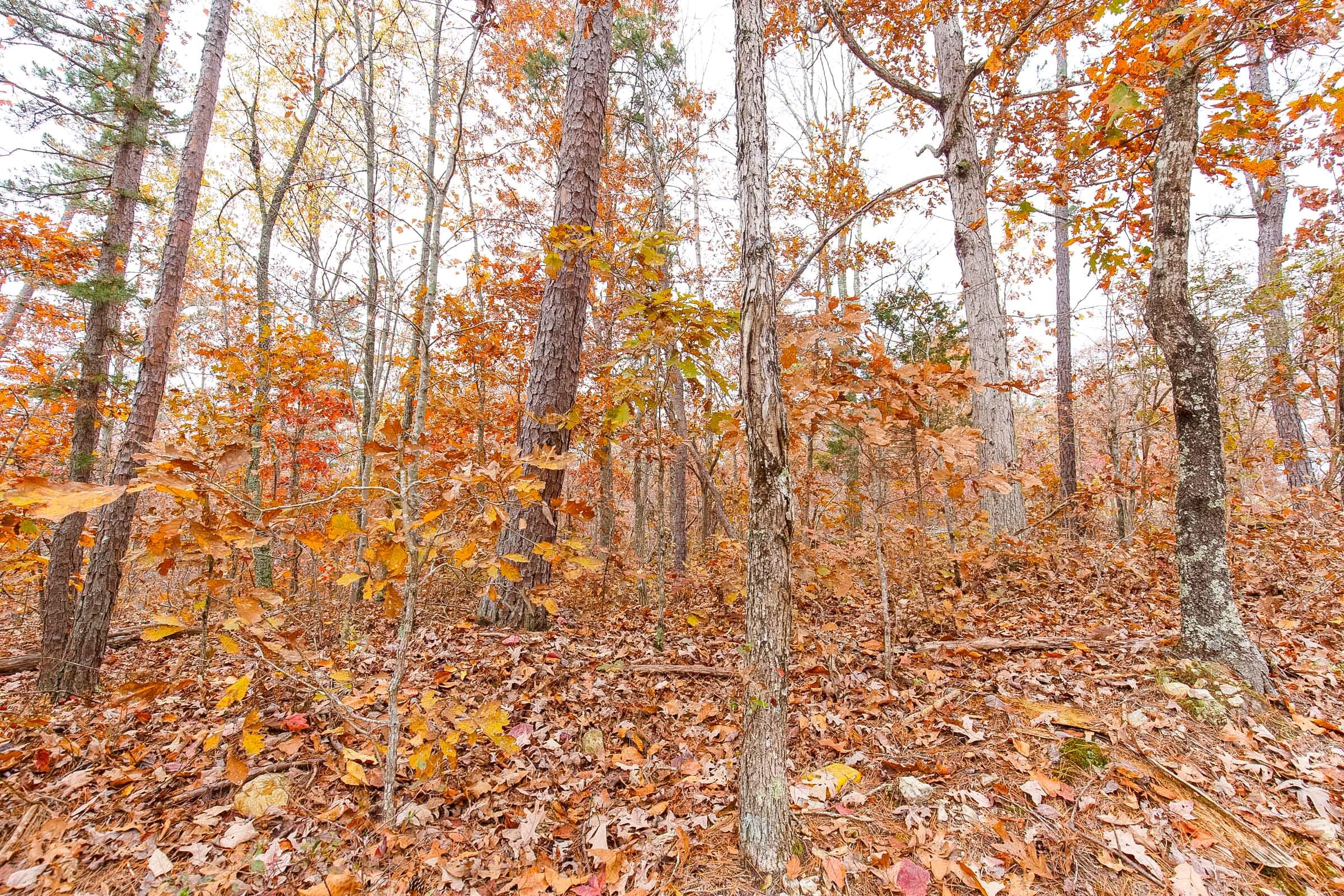 Hawkcrest Tract 11 photo 7