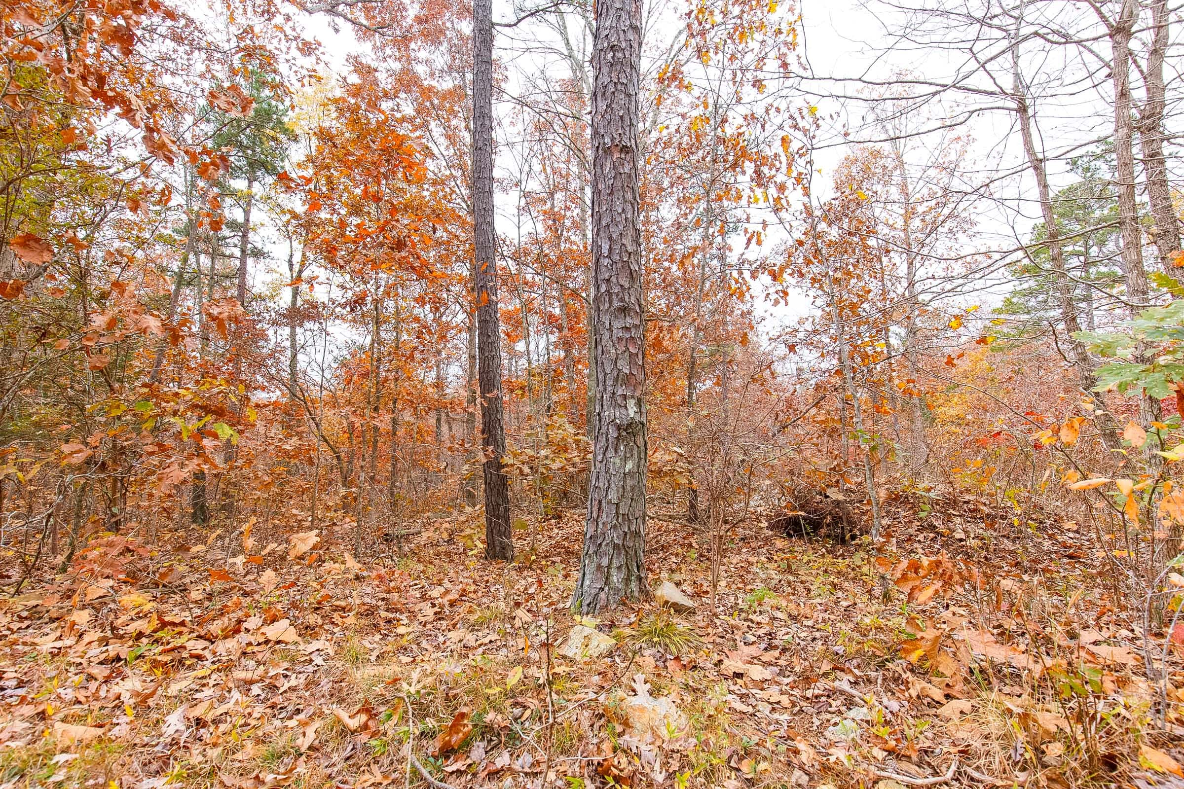 Hawkcrest Tract 11 photo 10