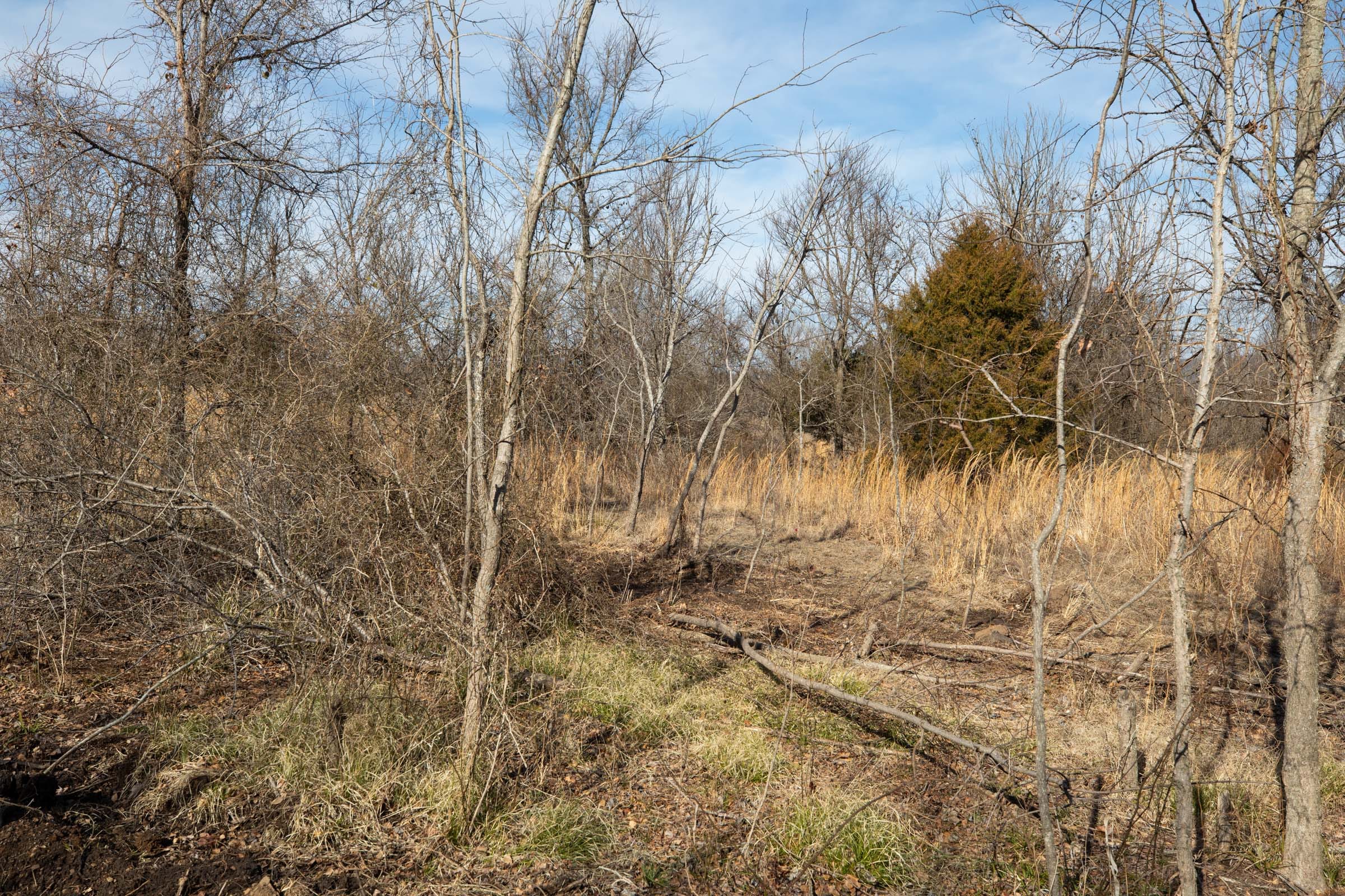Painted Horse Tract 23 photo 2