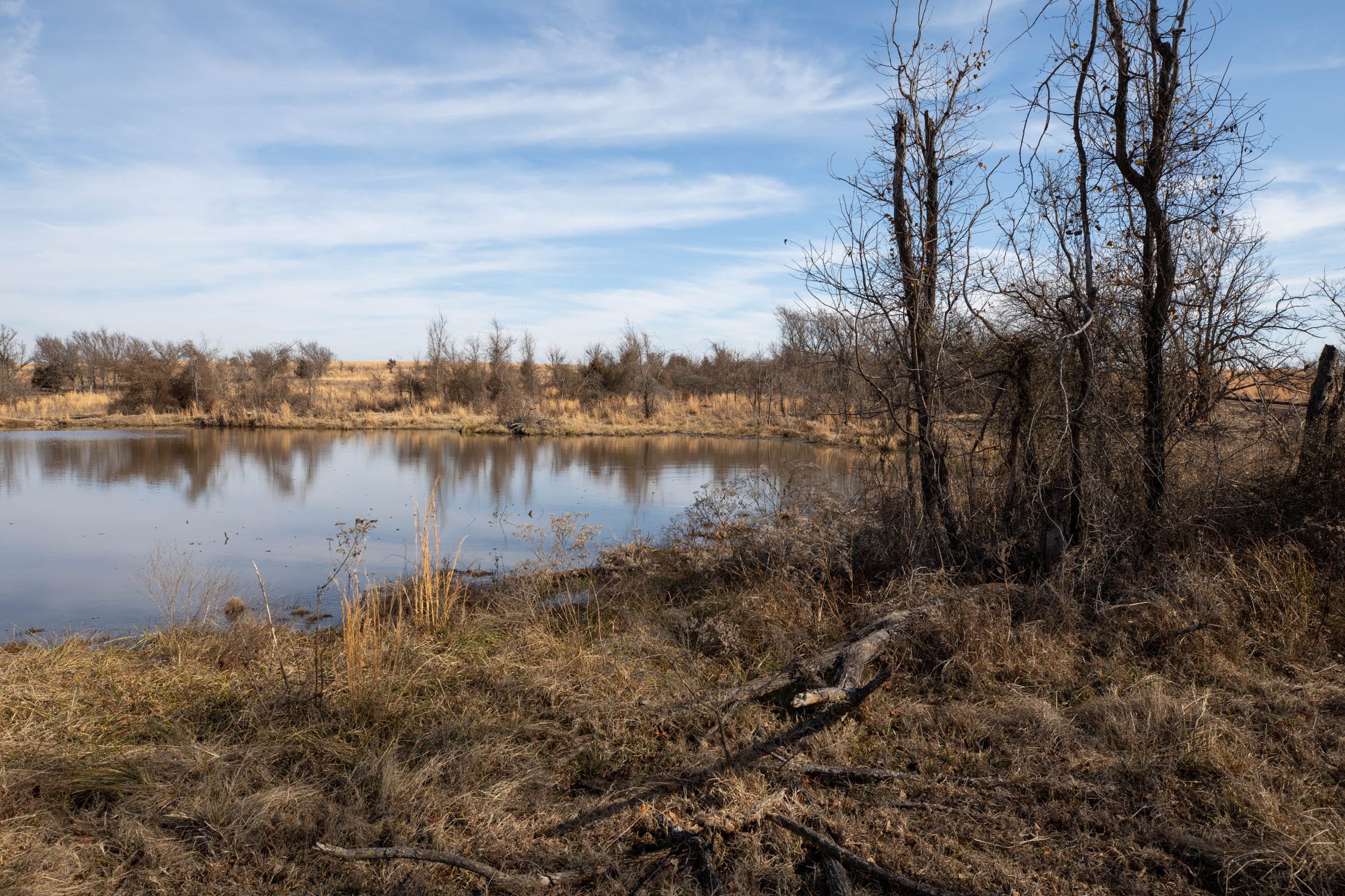 Painted Horse Tract 23 photo 15